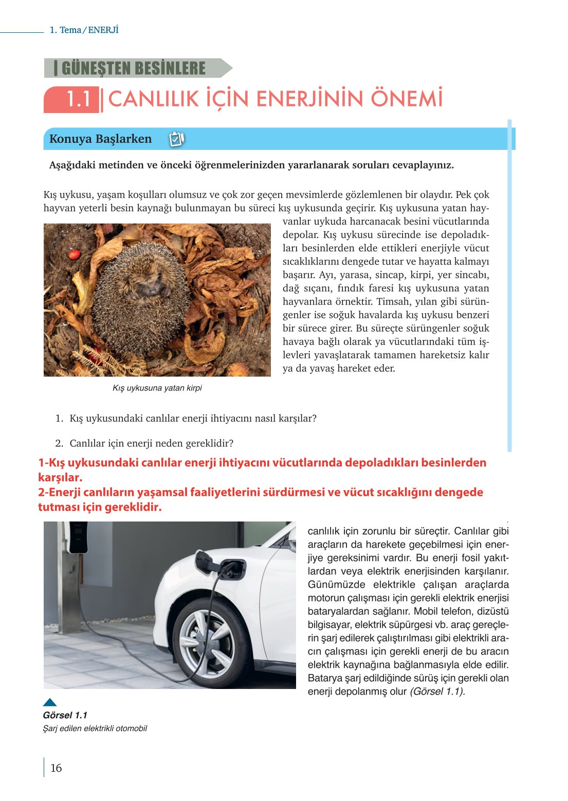 10. Sınıf Meb Yayınları Biyoloji Ders Kitabı Sayfa 16 Cevapları