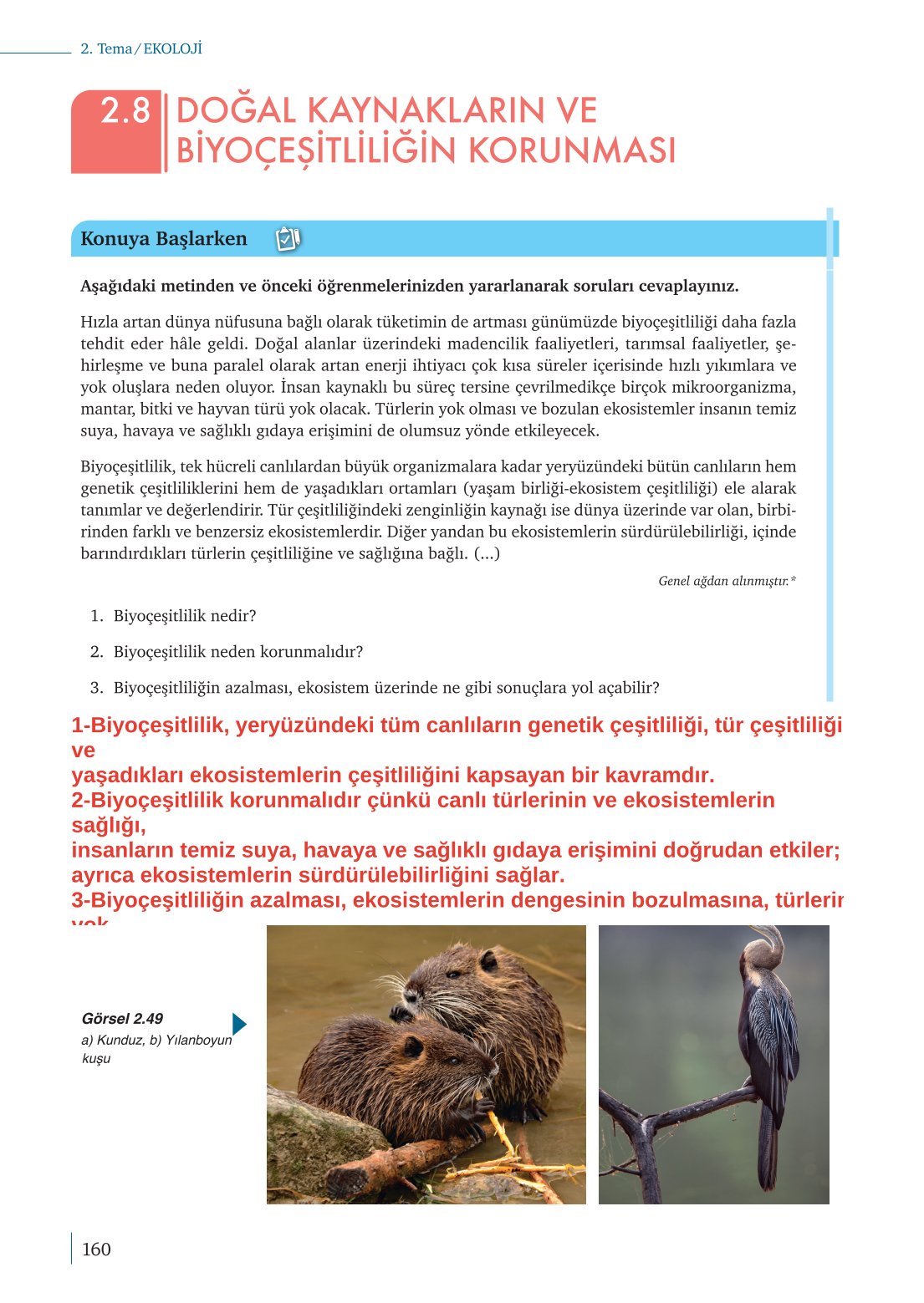 10. Sınıf Meb Yayınları Biyoloji Ders Kitabı Sayfa 160 Cevapları