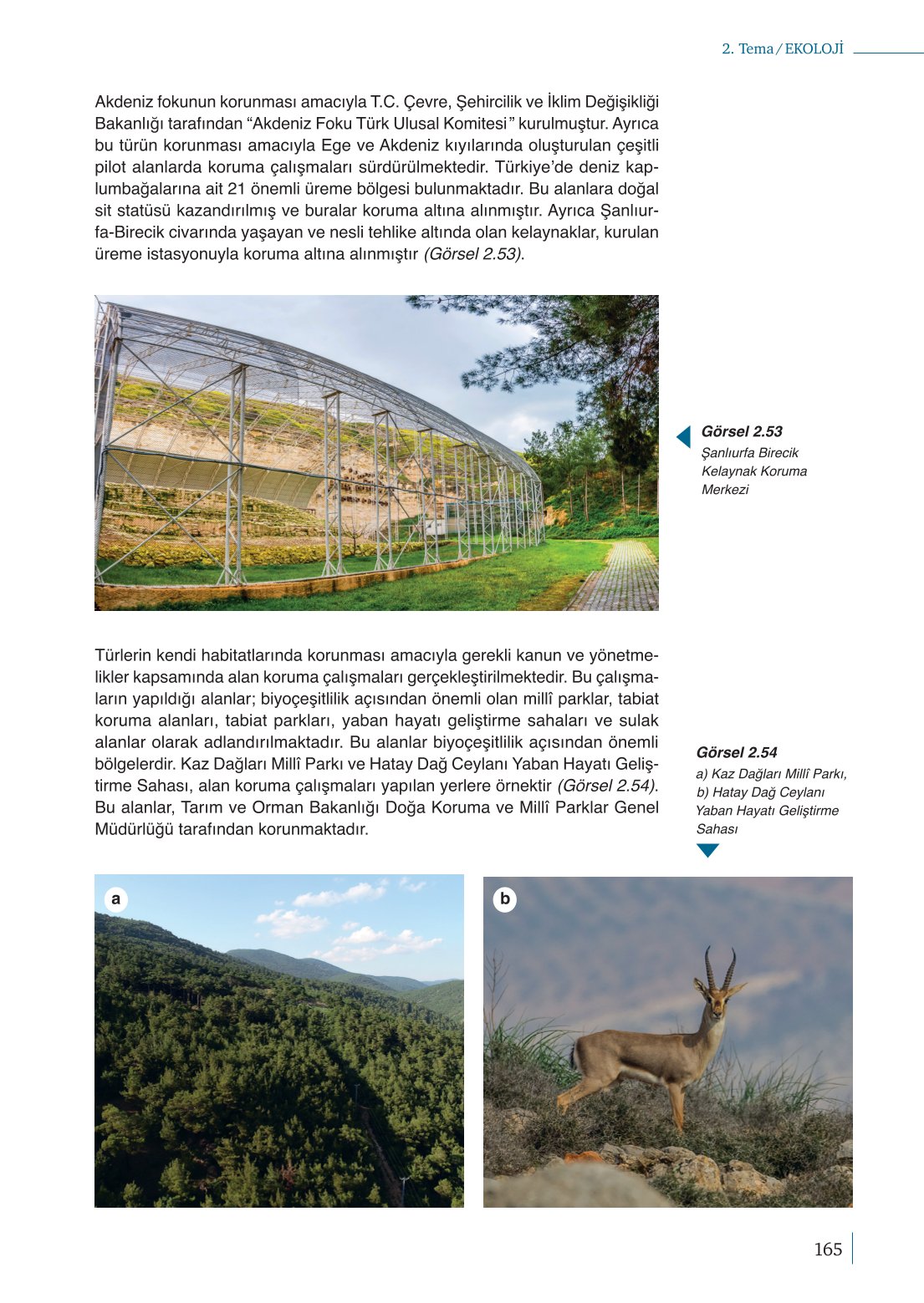 10. Sınıf Meb Yayınları Biyoloji Ders Kitabı Sayfa 165 Cevapları 10. Sınıf Meb Yayınları Biyoloji Ders Kitabı Sayfa 165 Cevapları