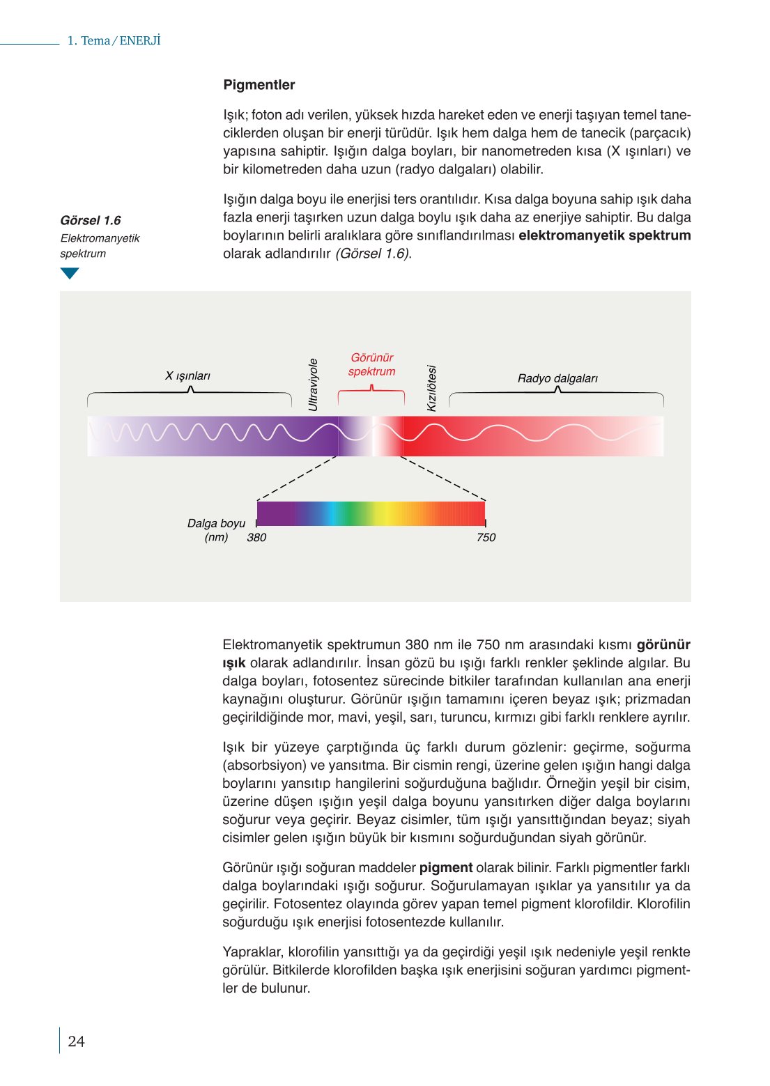 10. Sınıf Meb Yayınları Biyoloji Ders Kitabı Sayfa 24 Cevapları 10. Sınıf Meb Yayınları Biyoloji Ders Kitabı Sayfa 24 Cevapları