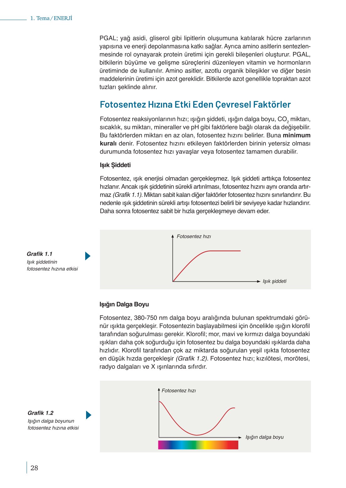 10. Sınıf Meb Yayınları Biyoloji Ders Kitabı Sayfa 28 Cevapları 10. Sınıf Meb Yayınları Biyoloji Ders Kitabı Sayfa 28 Cevapları