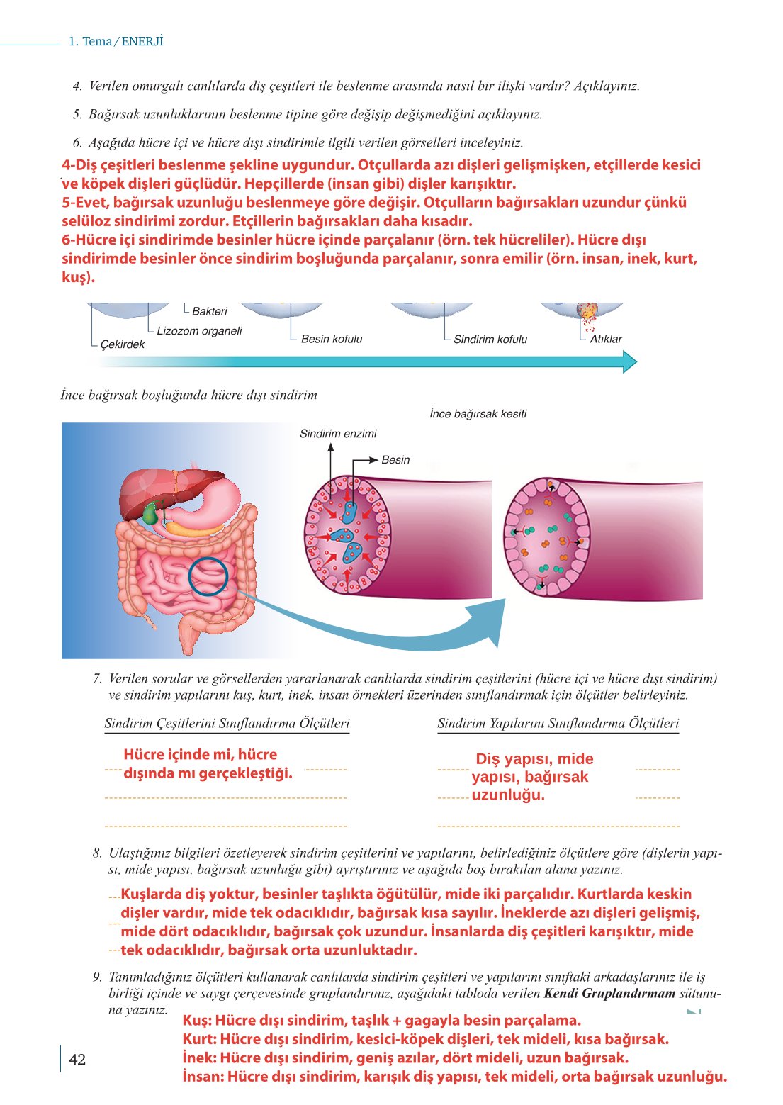 10. Sınıf Meb Yayınları Biyoloji Ders Kitabı Sayfa 42 Cevapları