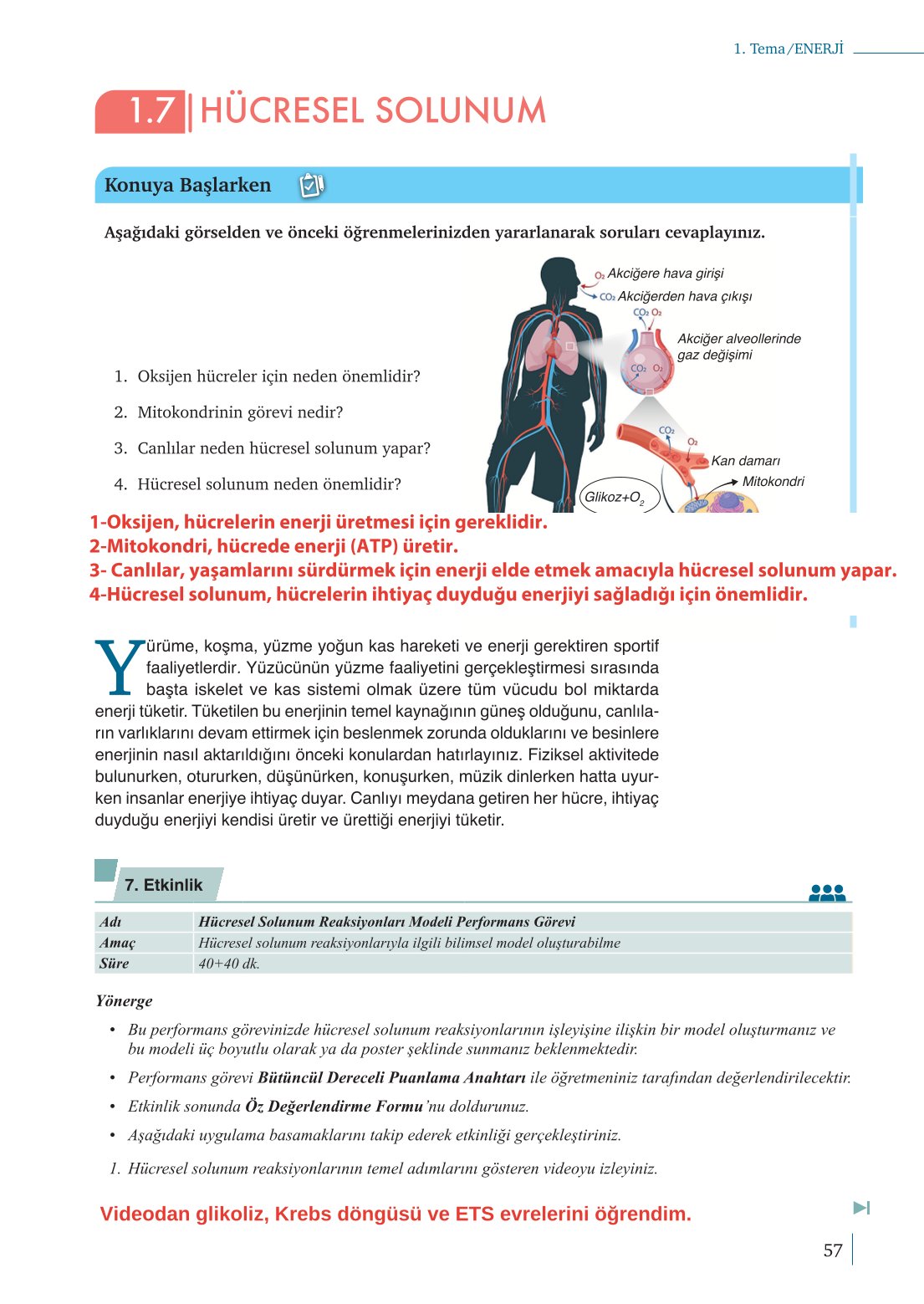 10. Sınıf Meb Yayınları Biyoloji Ders Kitabı Sayfa 57 Cevapları 10. Sınıf Meb Yayınları Biyoloji Ders Kitabı Sayfa 57 Cevapları