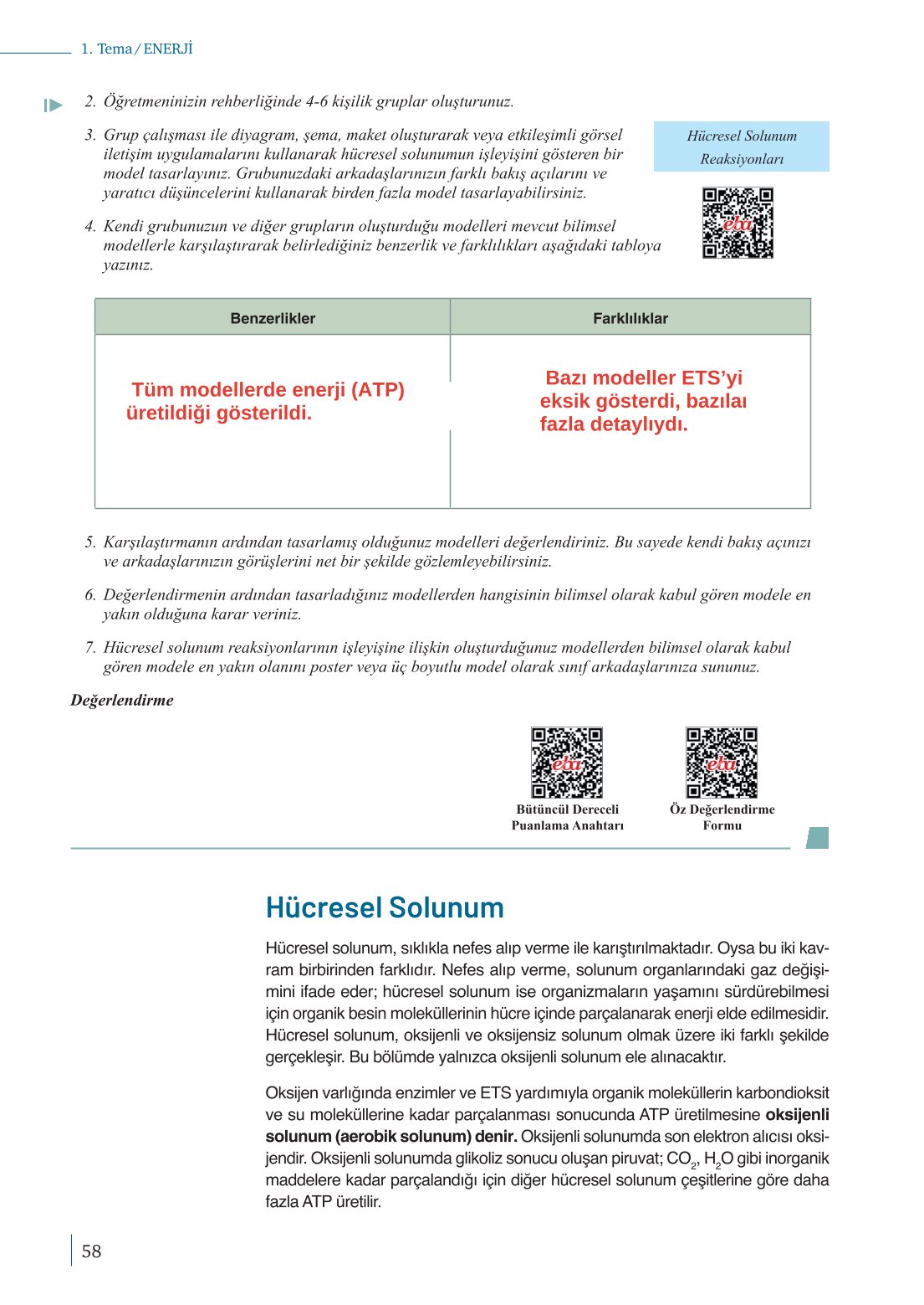 10. Sınıf Meb Yayınları Biyoloji Ders Kitabı Sayfa 58 Cevapları 10. Sınıf Meb Yayınları Biyoloji Ders Kitabı Sayfa 58 Cevapları