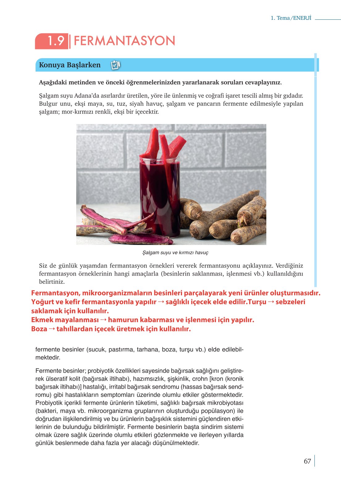 10. Sınıf Meb Yayınları Biyoloji Ders Kitabı Sayfa 67 Cevapları 10. Sınıf Meb Yayınları Biyoloji Ders Kitabı Sayfa 67 Cevapları