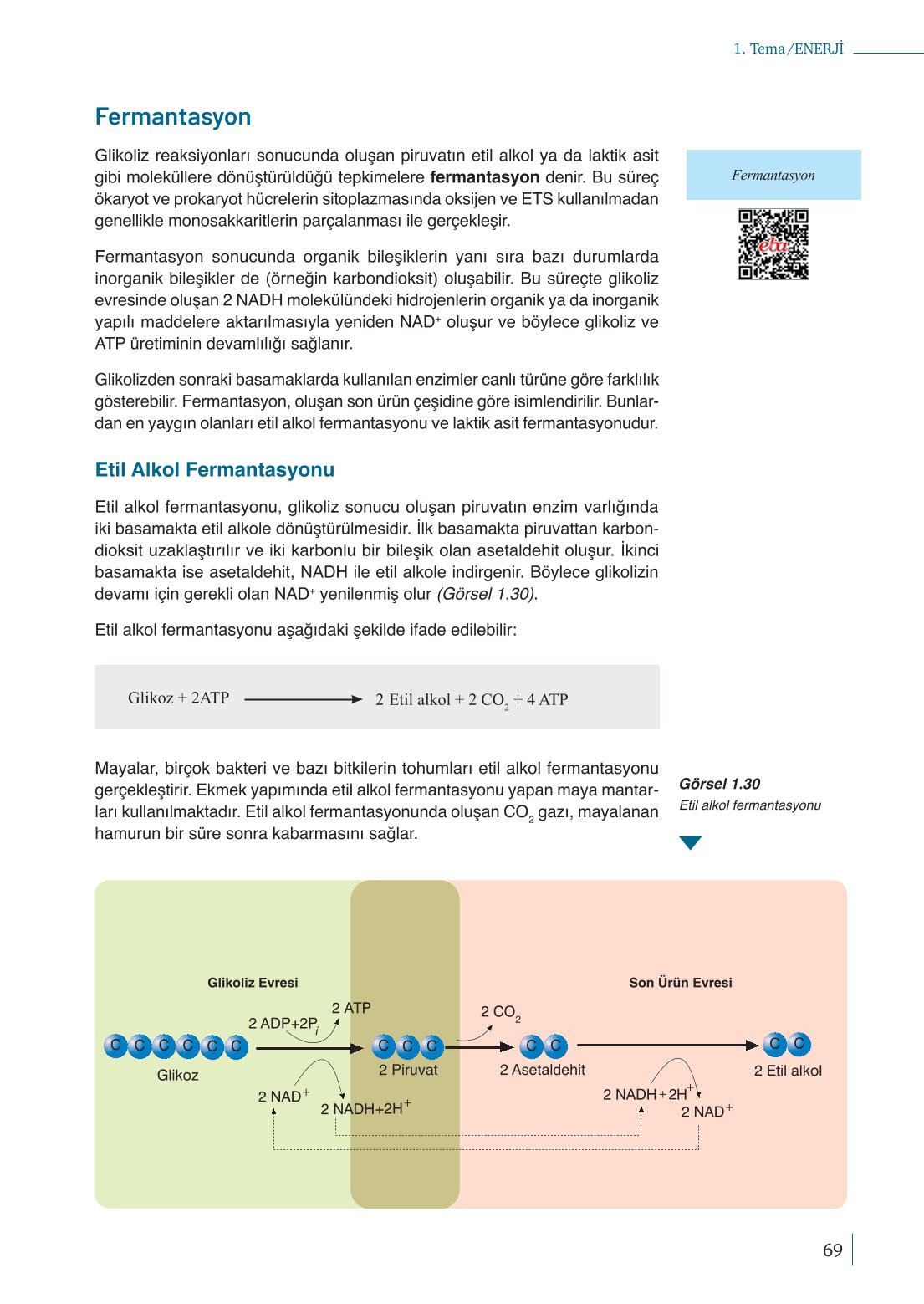 10. Sınıf Meb Yayınları Biyoloji Ders Kitabı Sayfa 69 Cevapları