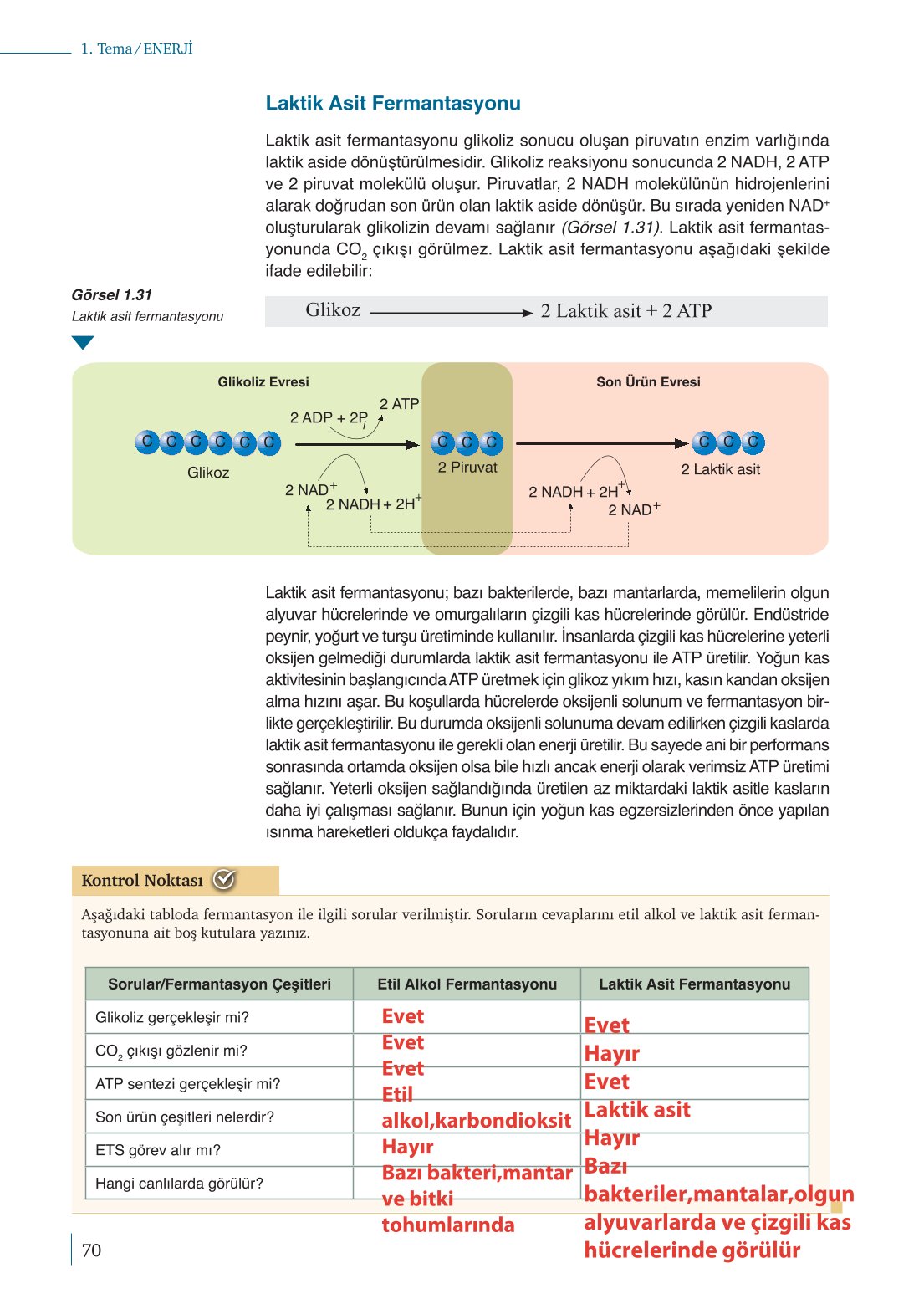 10. Sınıf Meb Yayınları Biyoloji Ders Kitabı Sayfa 70 Cevapları 10. Sınıf Meb Yayınları Biyoloji Ders Kitabı Sayfa 70 Cevapları
