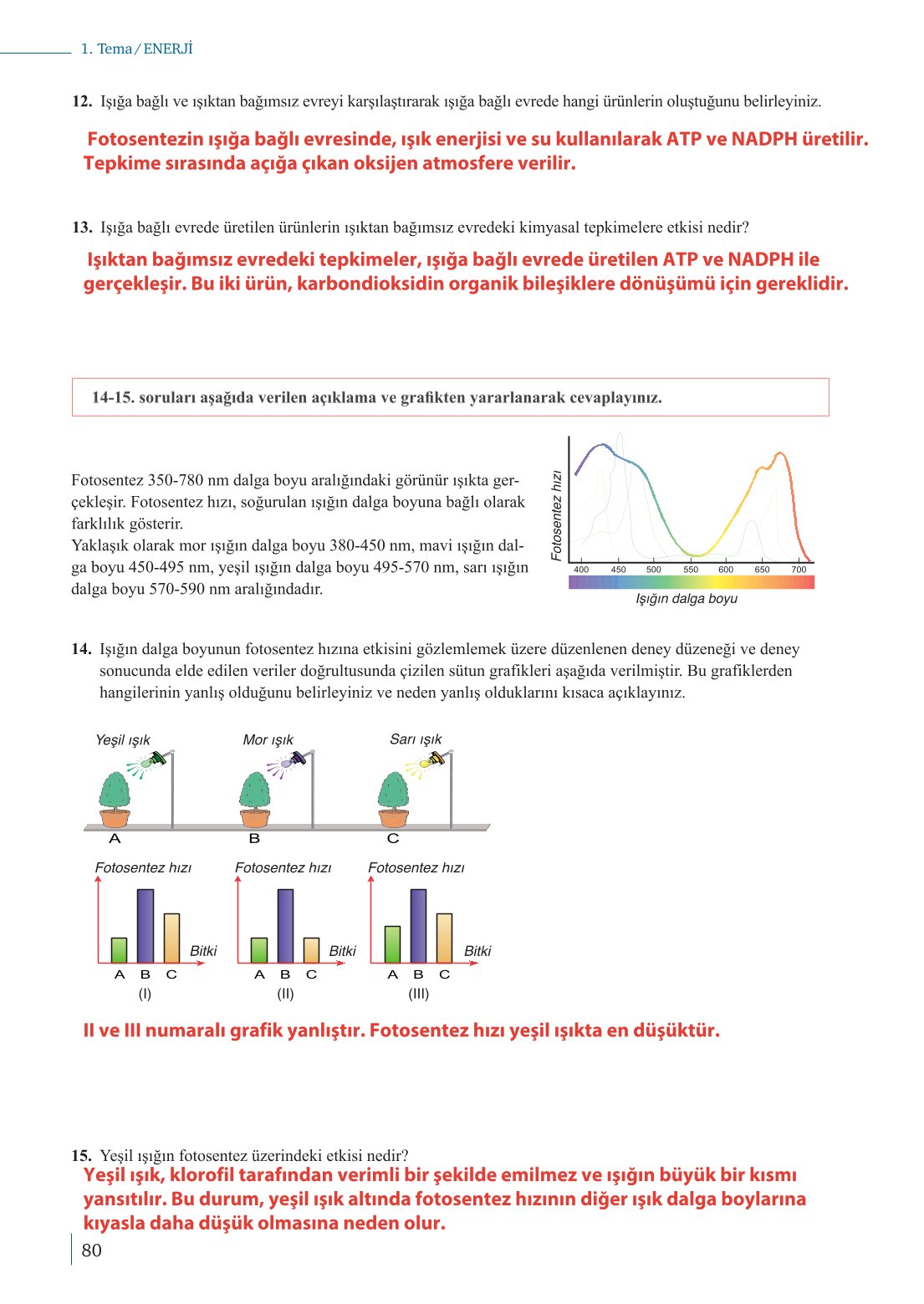 10. Sınıf Meb Yayınları Biyoloji Ders Kitabı Sayfa 80 Cevapları 10. Sınıf Meb Yayınları Biyoloji Ders Kitabı Sayfa 80 Cevapları