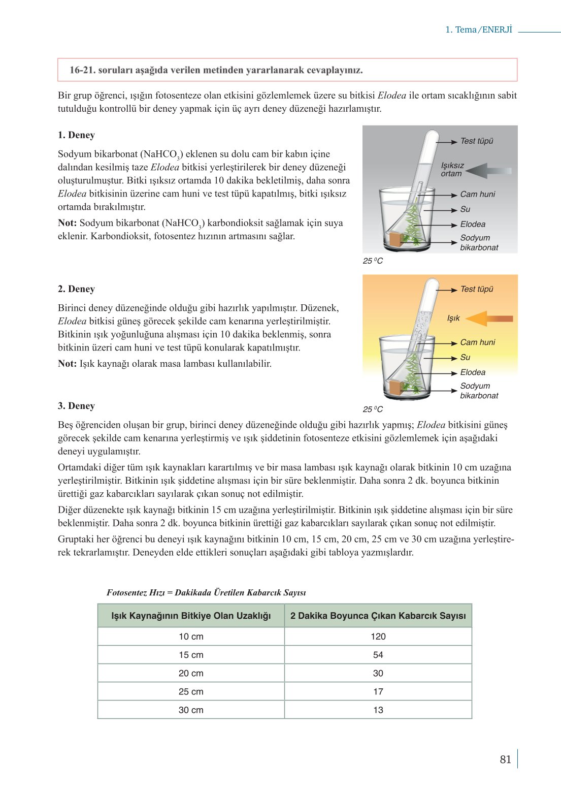 10. Sınıf Meb Yayınları Biyoloji Ders Kitabı Sayfa 81 Cevapları 10. Sınıf Meb Yayınları Biyoloji Ders Kitabı Sayfa 81 Cevapları