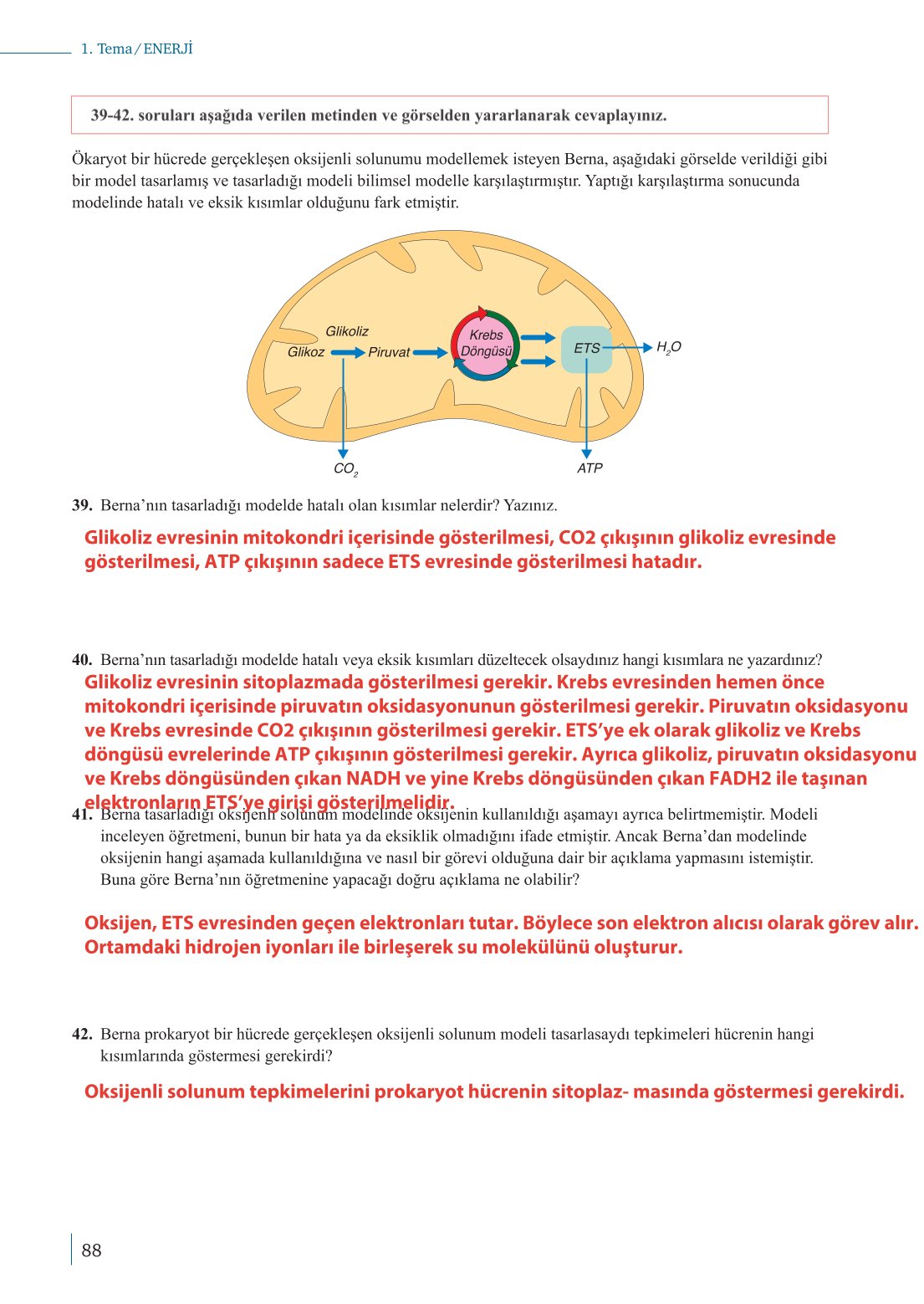 10. Sınıf Meb Yayınları Biyoloji Ders Kitabı Sayfa 88 Cevapları