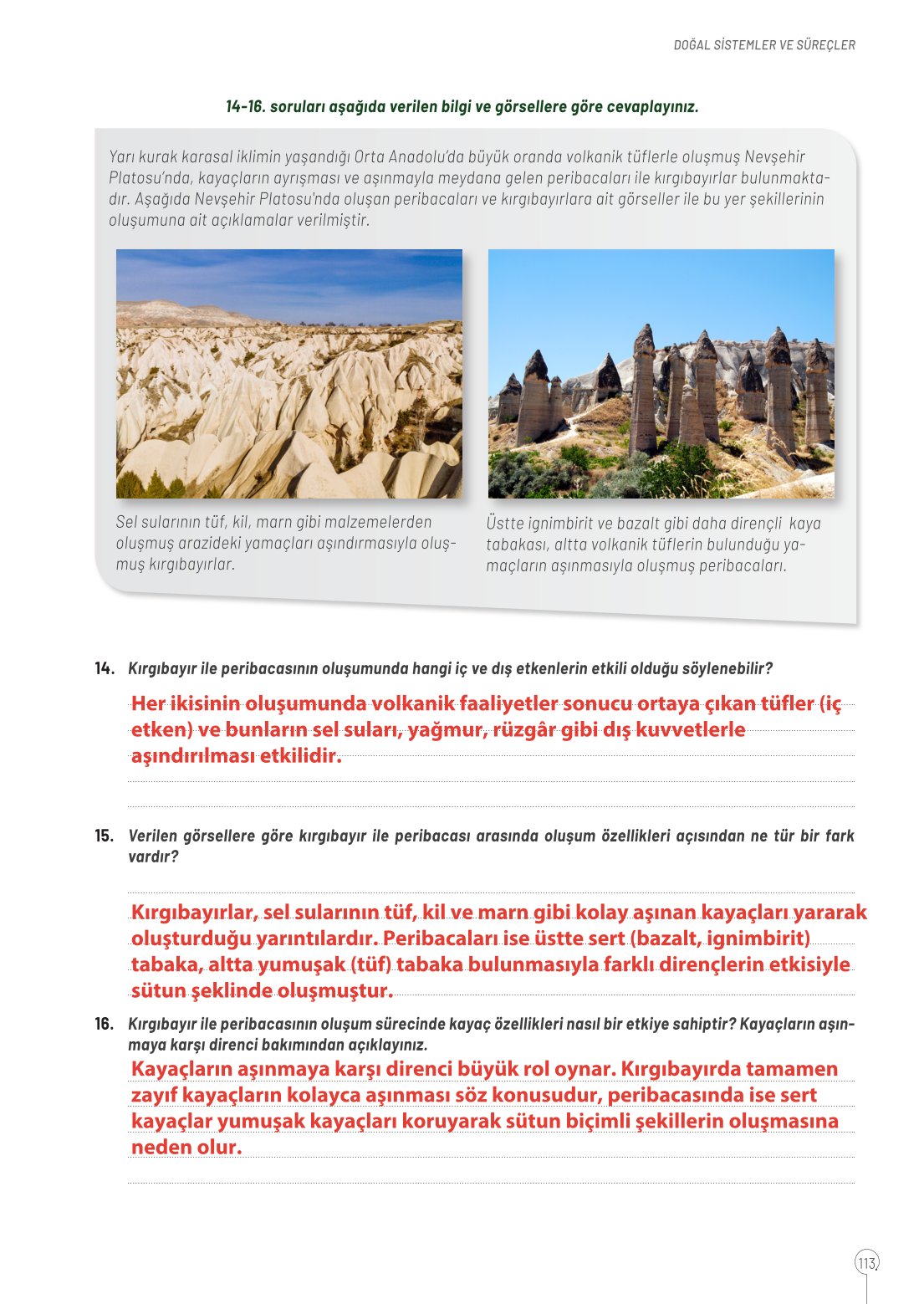 10. Sınıf Meb Yayınları Coğrafya Ders Kitabı Sayfa 113 Cevapları