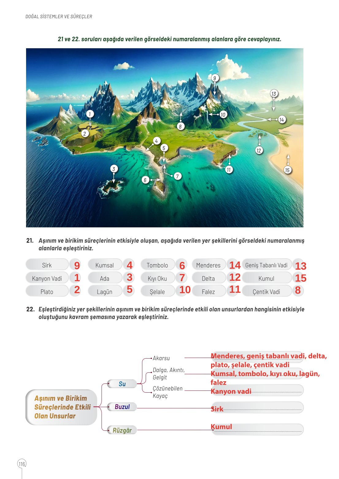 10. Sınıf Meb Yayınları Coğrafya Ders Kitabı Sayfa 116 Cevapları