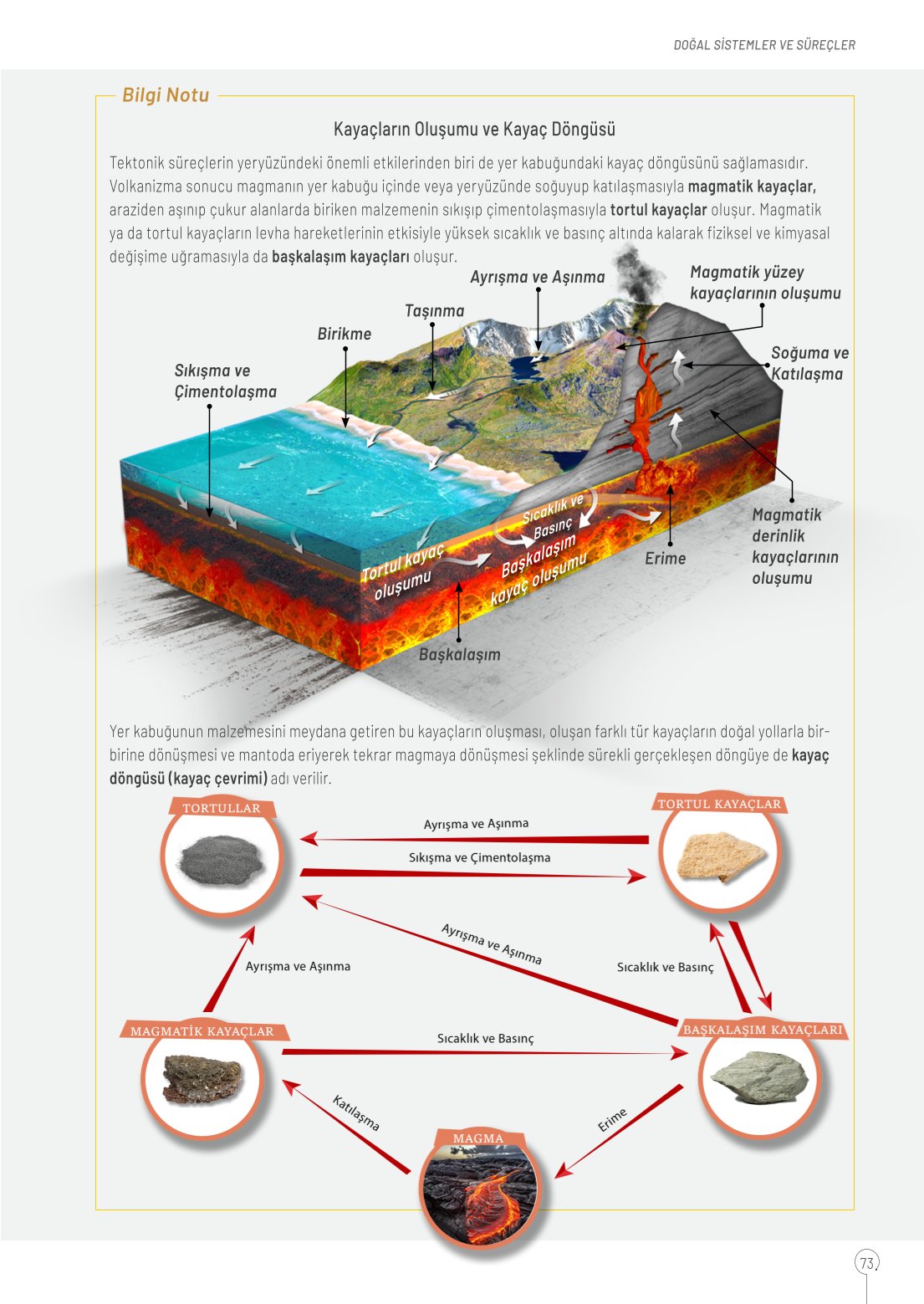 10. Sınıf Meb Yayınları Coğrafya Ders Kitabı Sayfa 73 Cevapları