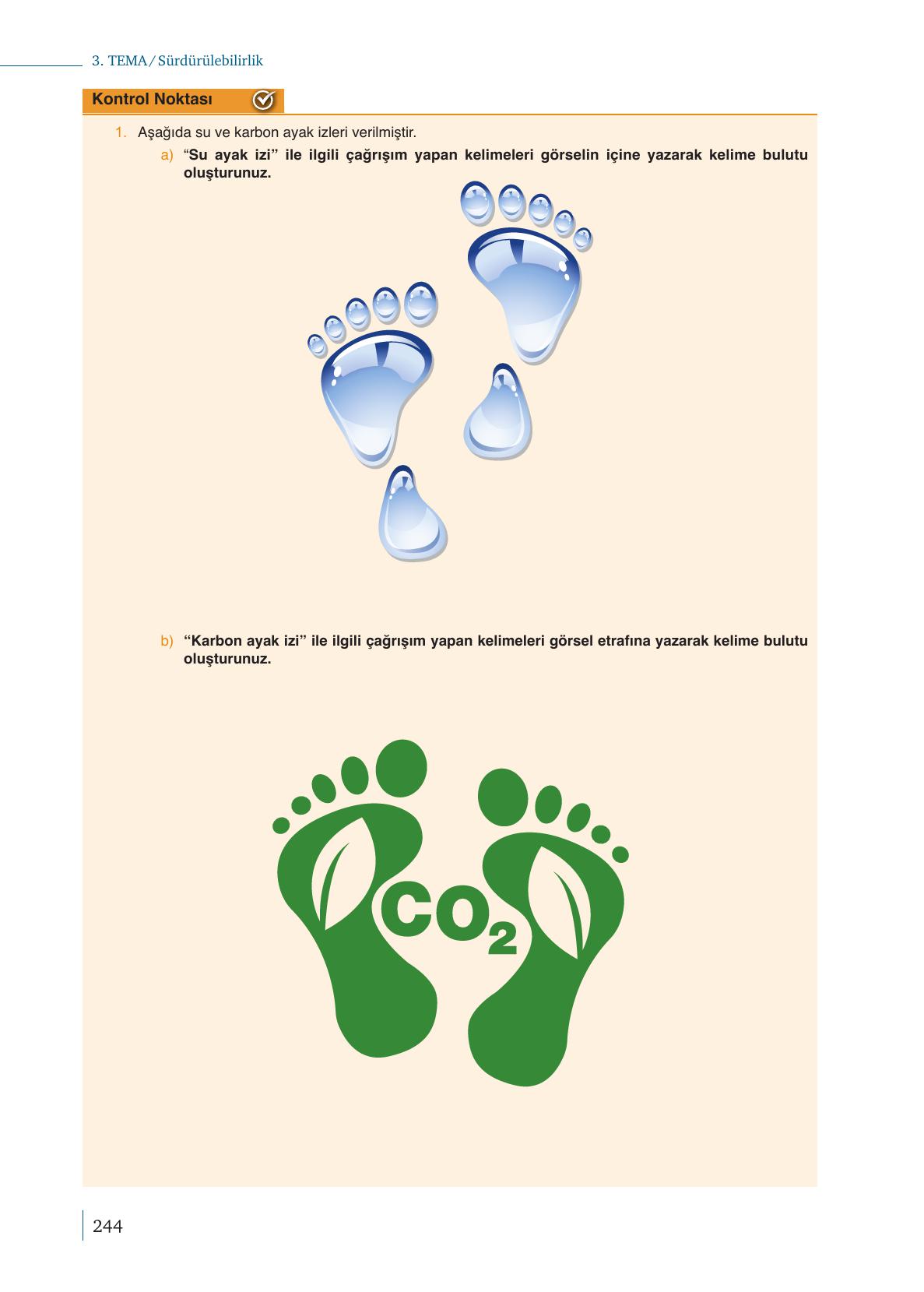 10. Sınıf Meb Yayınları Kimya Ders Kitabı Sayfa 244 Cevapları