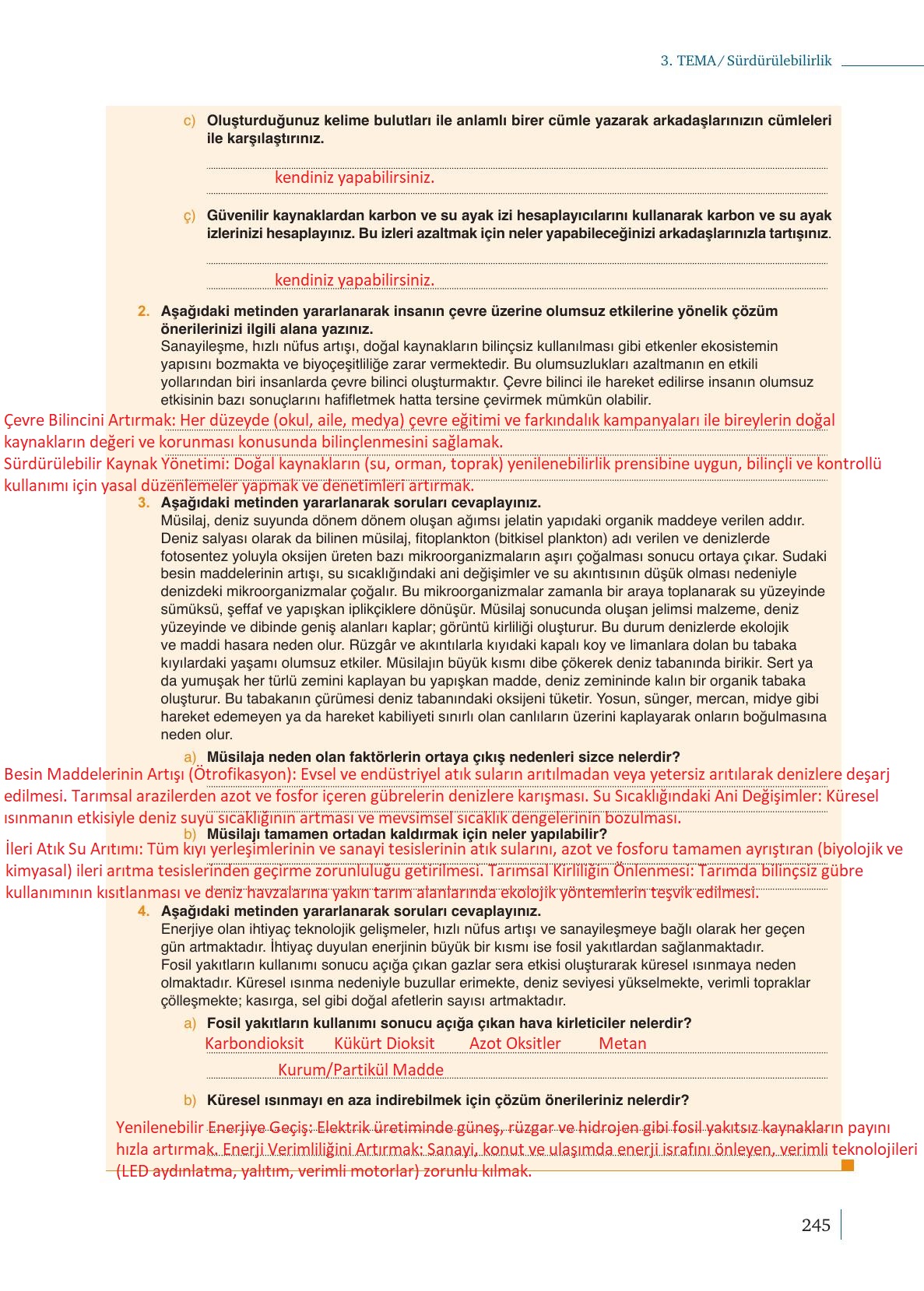 10. Sınıf Meb Yayınları Kimya Ders Kitabı Sayfa 245 Cevapları