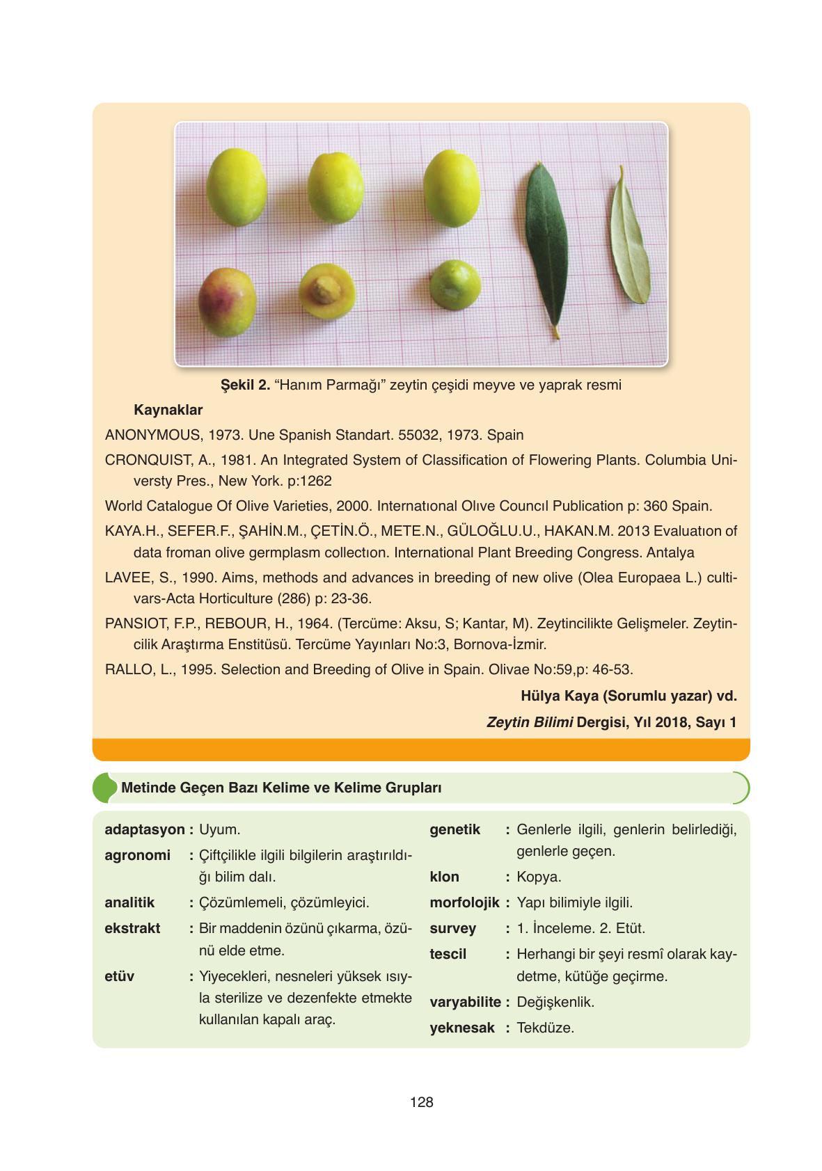 11. Sınıf Ata Yayıncılık Türk Dili Ve Edebiyatı Ders Kitabı Sayfa 128 Cevapları