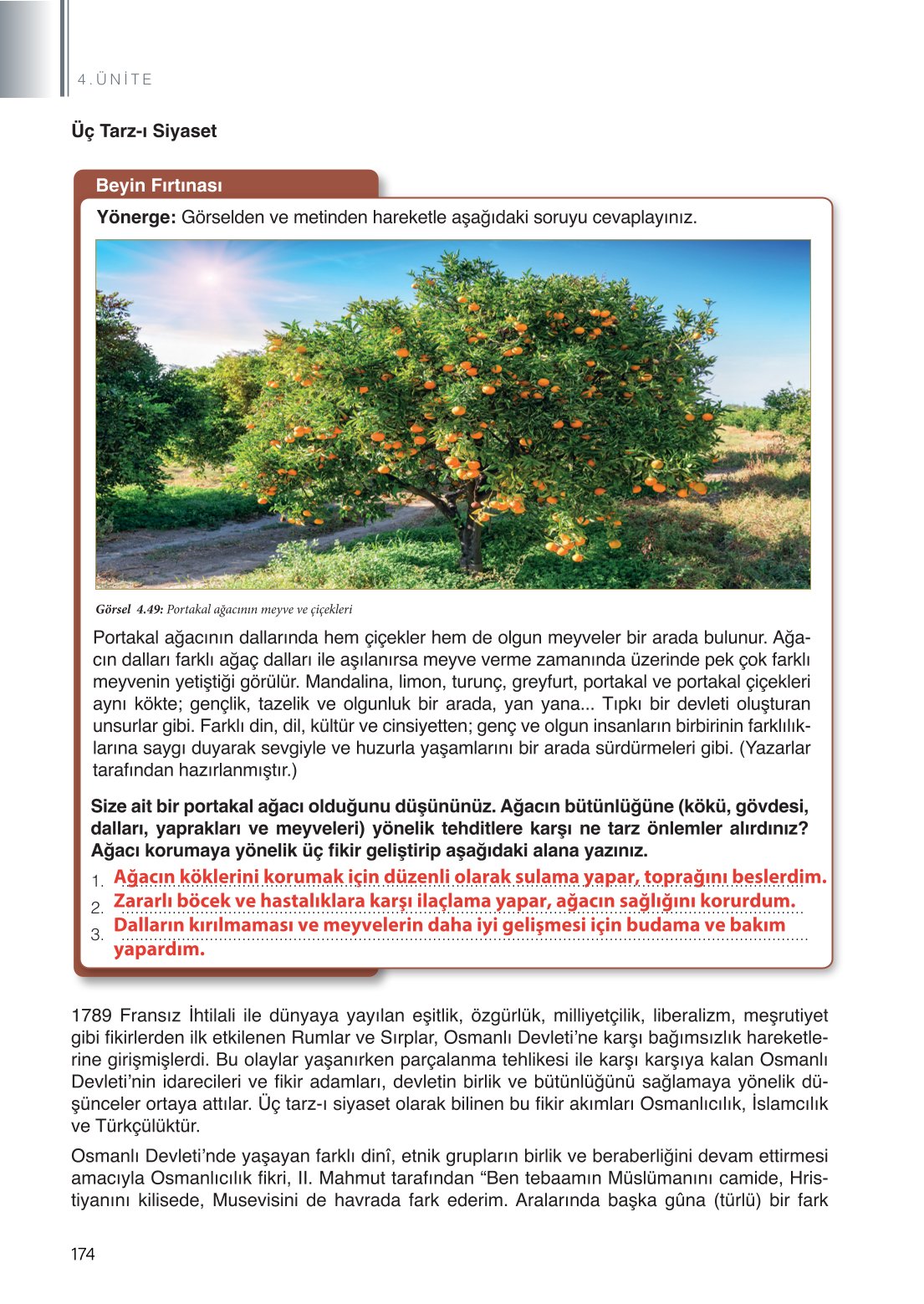 11. Sınıf Meb Yayınları Tarih Ders Kitabı Sayfa 174 Cevapları