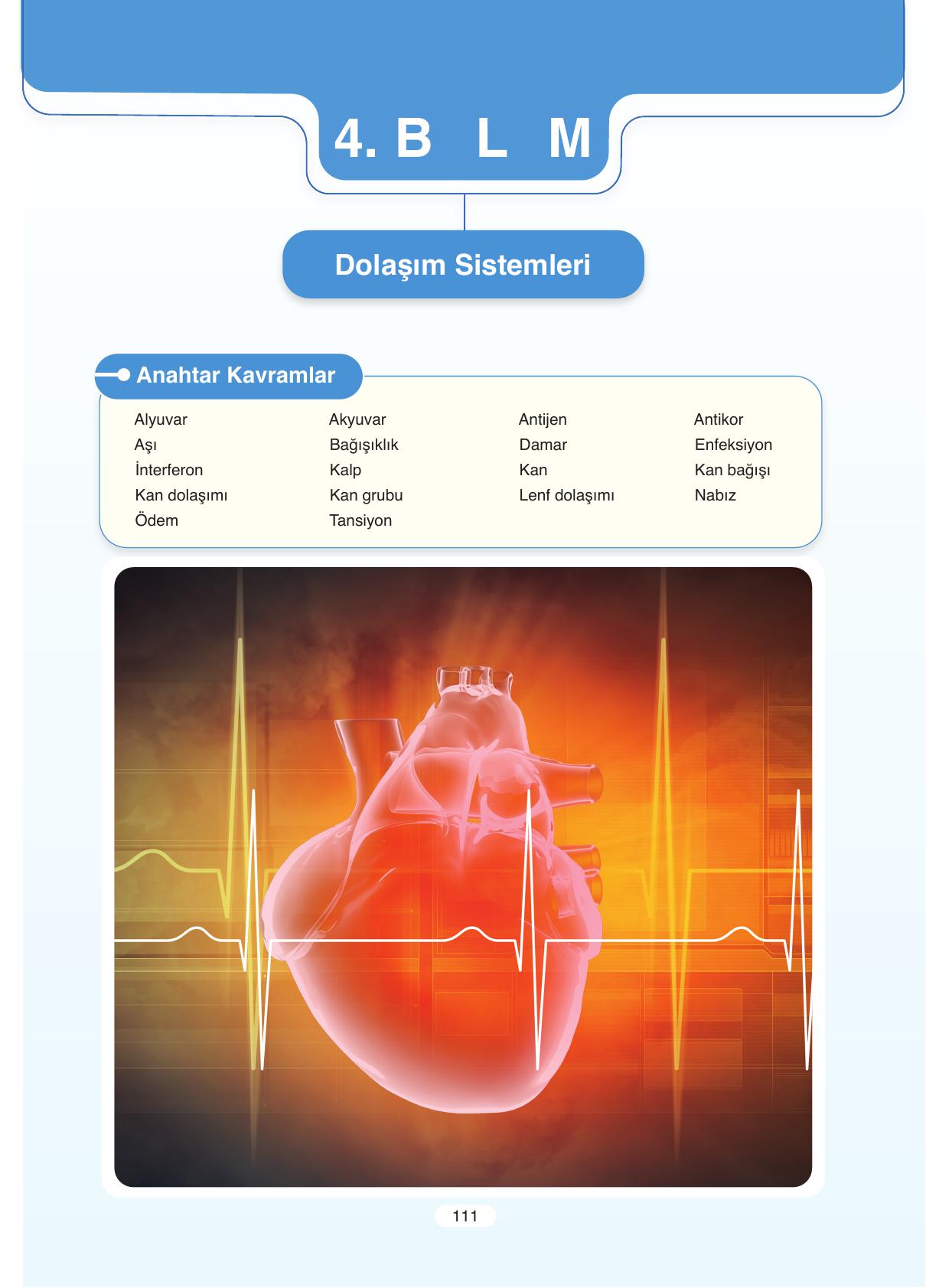 11. Sınıf Tutku Yayıncılık Biyoloji Ders Kitabı Sayfa 111 Cevapları 11. Sınıf Tutku Yayıncılık Biyoloji Ders Kitabı Sayfa 111 Cevapları