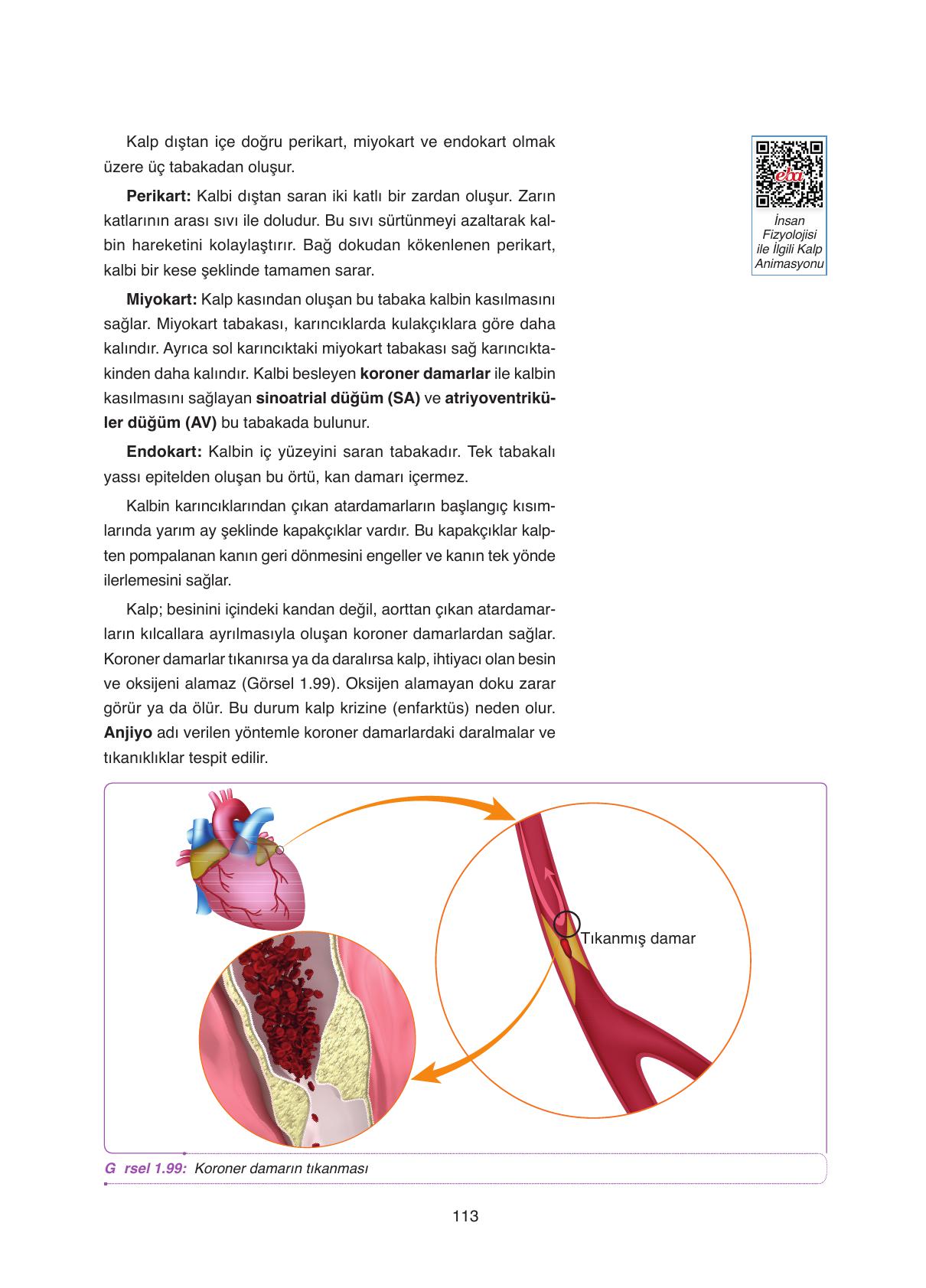 11. Sınıf Tutku Yayıncılık Biyoloji Ders Kitabı Sayfa 113 Cevapları