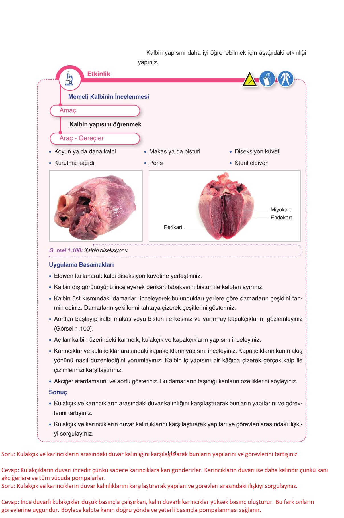 11. Sınıf Tutku Yayıncılık Biyoloji Ders Kitabı Sayfa 114 Cevapları