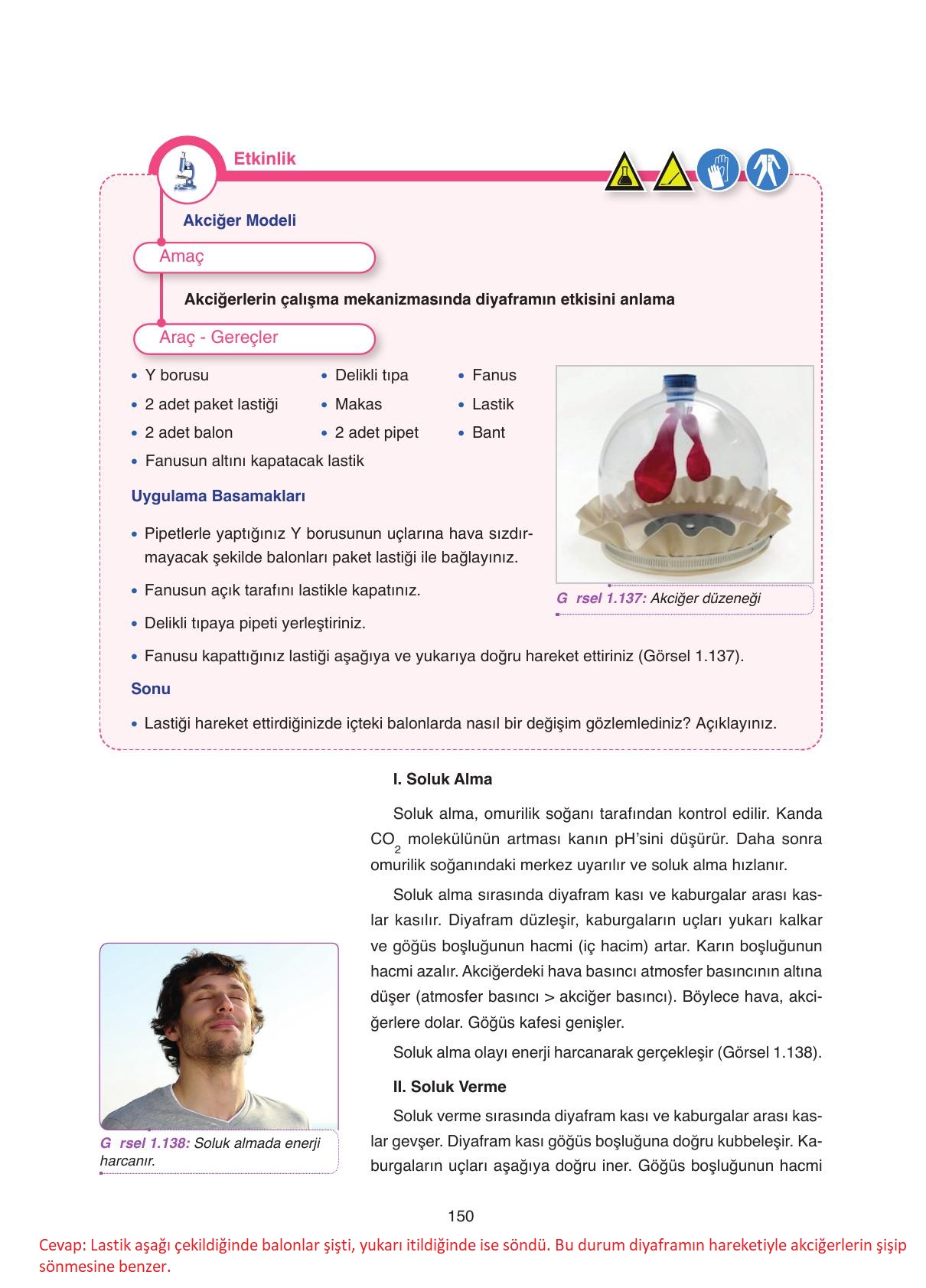 11. Sınıf Tutku Yayıncılık Biyoloji Ders Kitabı Sayfa 150 Cevapları 11. Sınıf Tutku Yayıncılık Biyoloji Ders Kitabı Sayfa 150 Cevapları