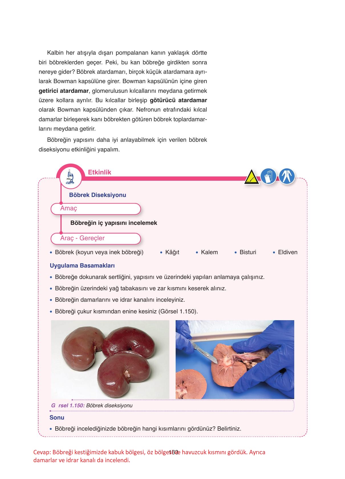 11. Sınıf Tutku Yayıncılık Biyoloji Ders Kitabı Sayfa 163 Cevapları