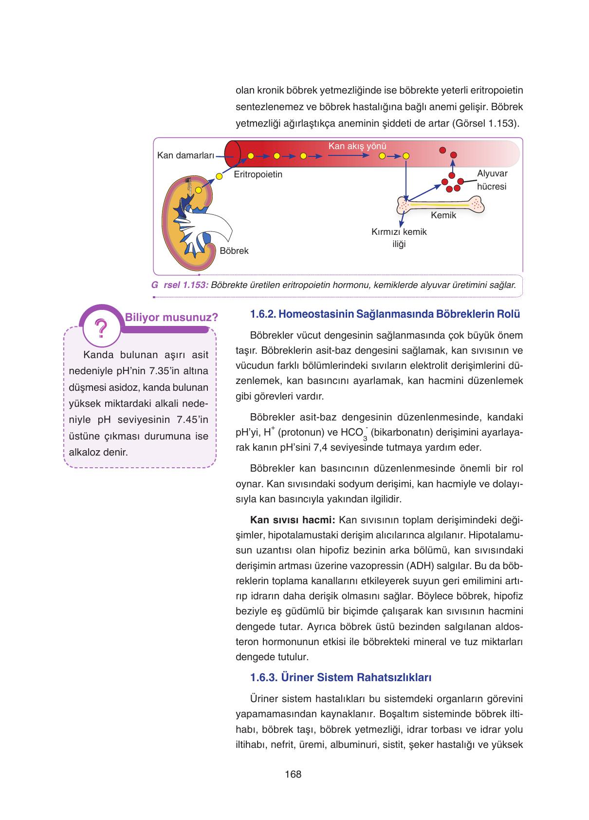 11. Sınıf Tutku Yayıncılık Biyoloji Ders Kitabı Sayfa 168 Cevapları 11. Sınıf Tutku Yayıncılık Biyoloji Ders Kitabı Sayfa 168 Cevapları