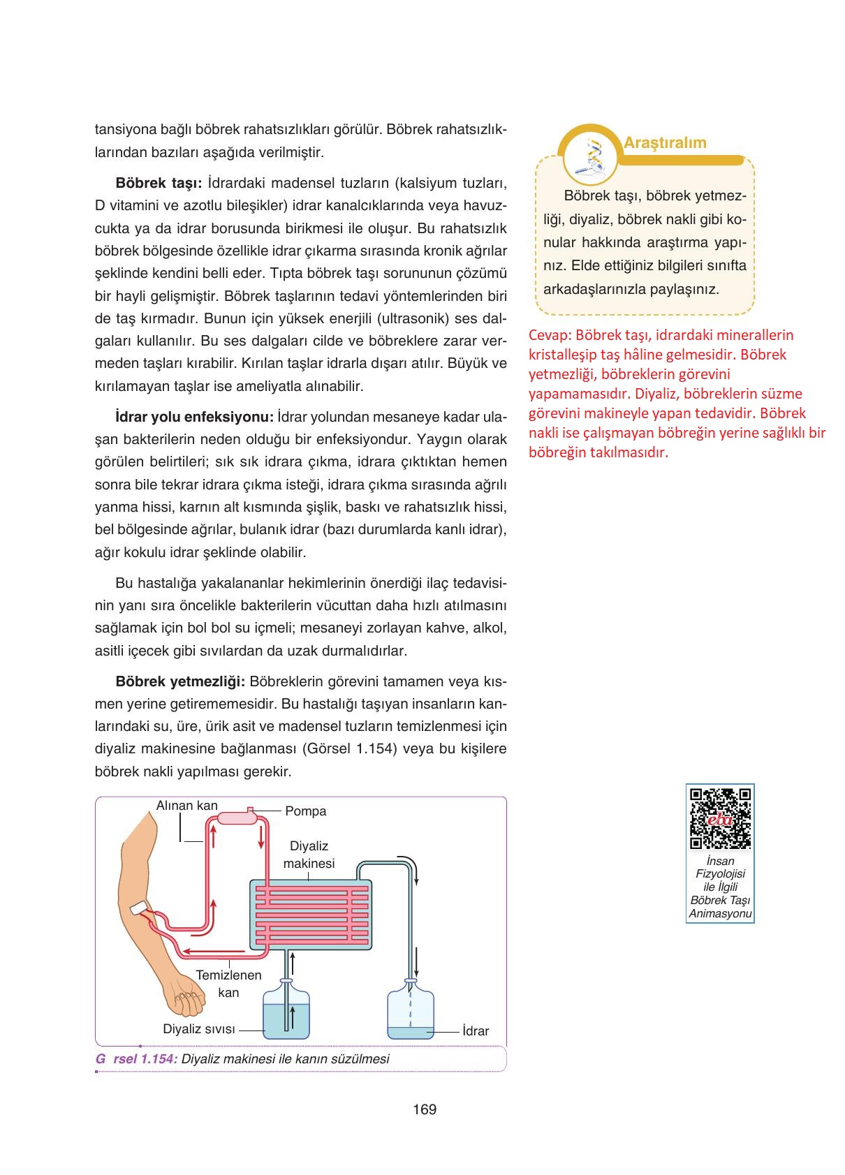 11. Sınıf Tutku Yayıncılık Biyoloji Ders Kitabı Sayfa 169 Cevapları