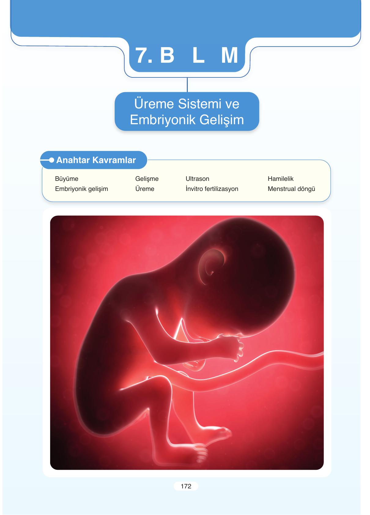 11. Sınıf Tutku Yayıncılık Biyoloji Ders Kitabı Sayfa 172 Cevapları