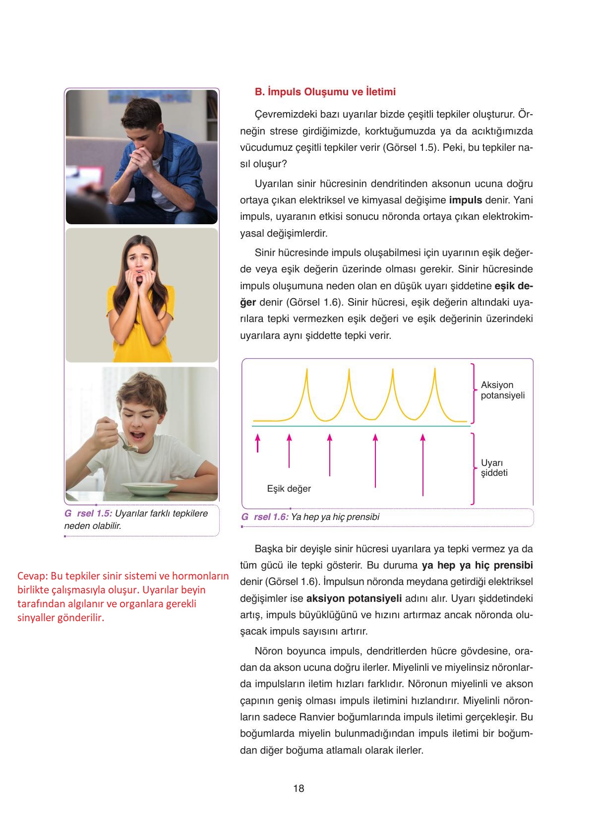 11. Sınıf Tutku Yayıncılık Biyoloji Ders Kitabı Sayfa 18 Cevapları
