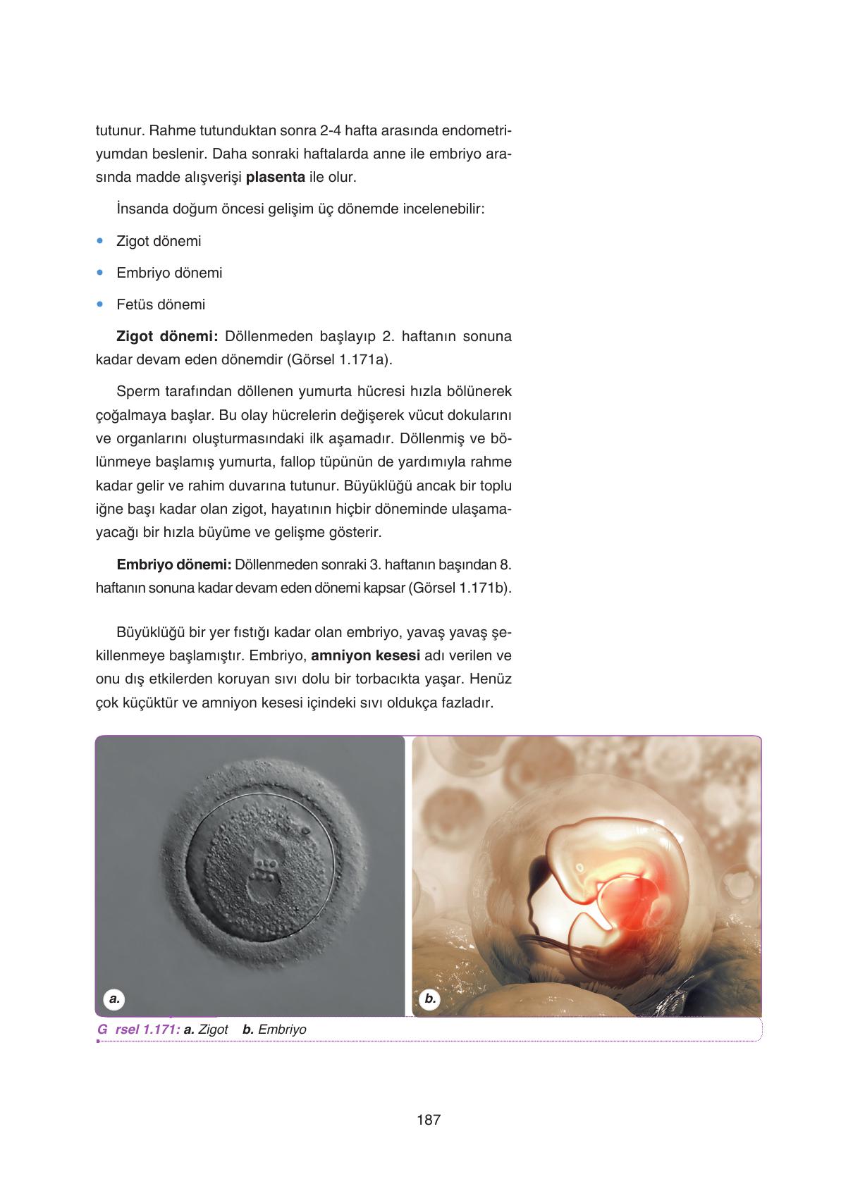 11. Sınıf Tutku Yayıncılık Biyoloji Ders Kitabı Sayfa 187 Cevapları 11. Sınıf Tutku Yayıncılık Biyoloji Ders Kitabı Sayfa 187 Cevapları