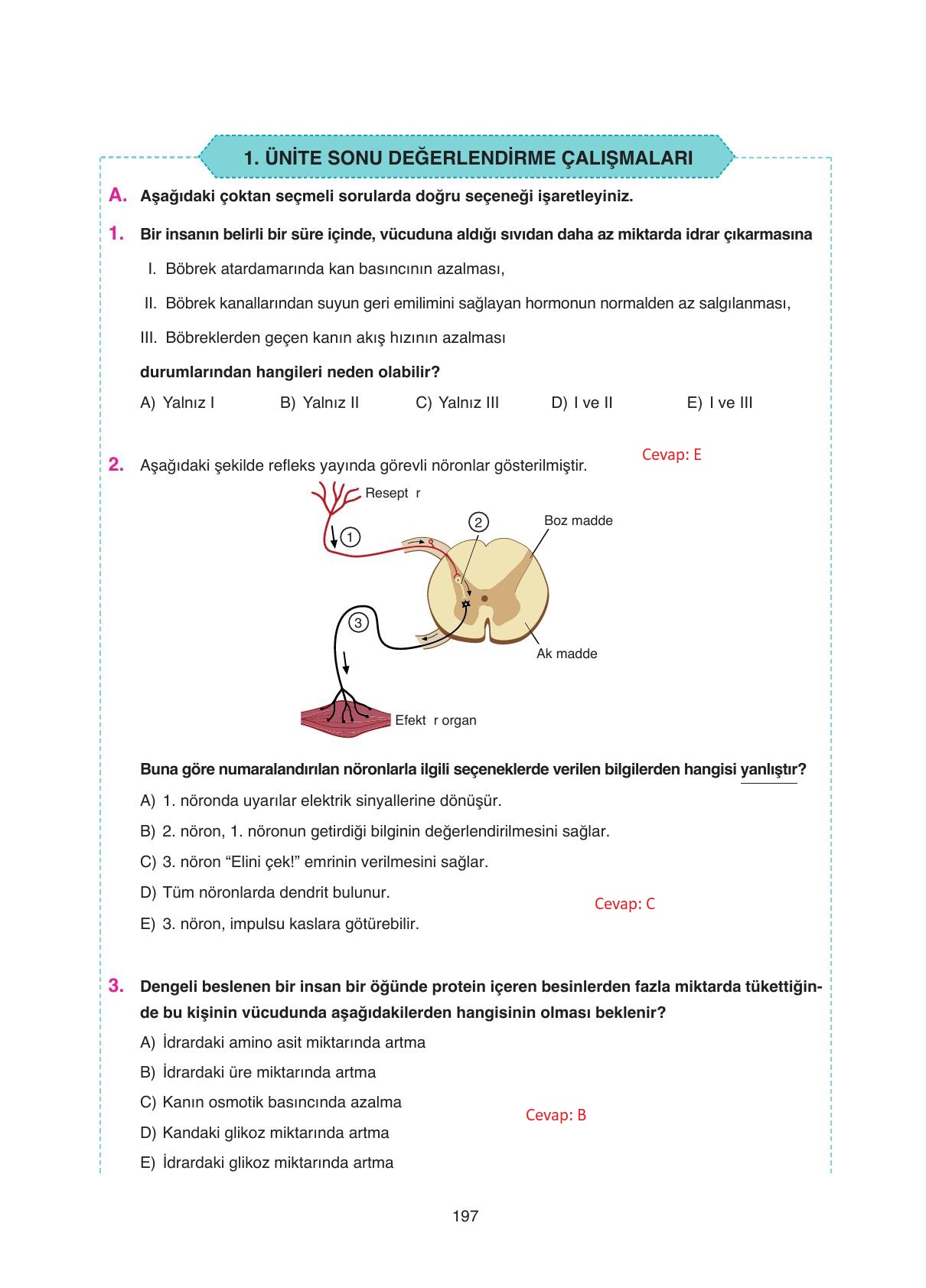 11. Sınıf Tutku Yayıncılık Biyoloji Ders Kitabı Sayfa 197 Cevapları 11. Sınıf Tutku Yayıncılık Biyoloji Ders Kitabı Sayfa 197 Cevapları
