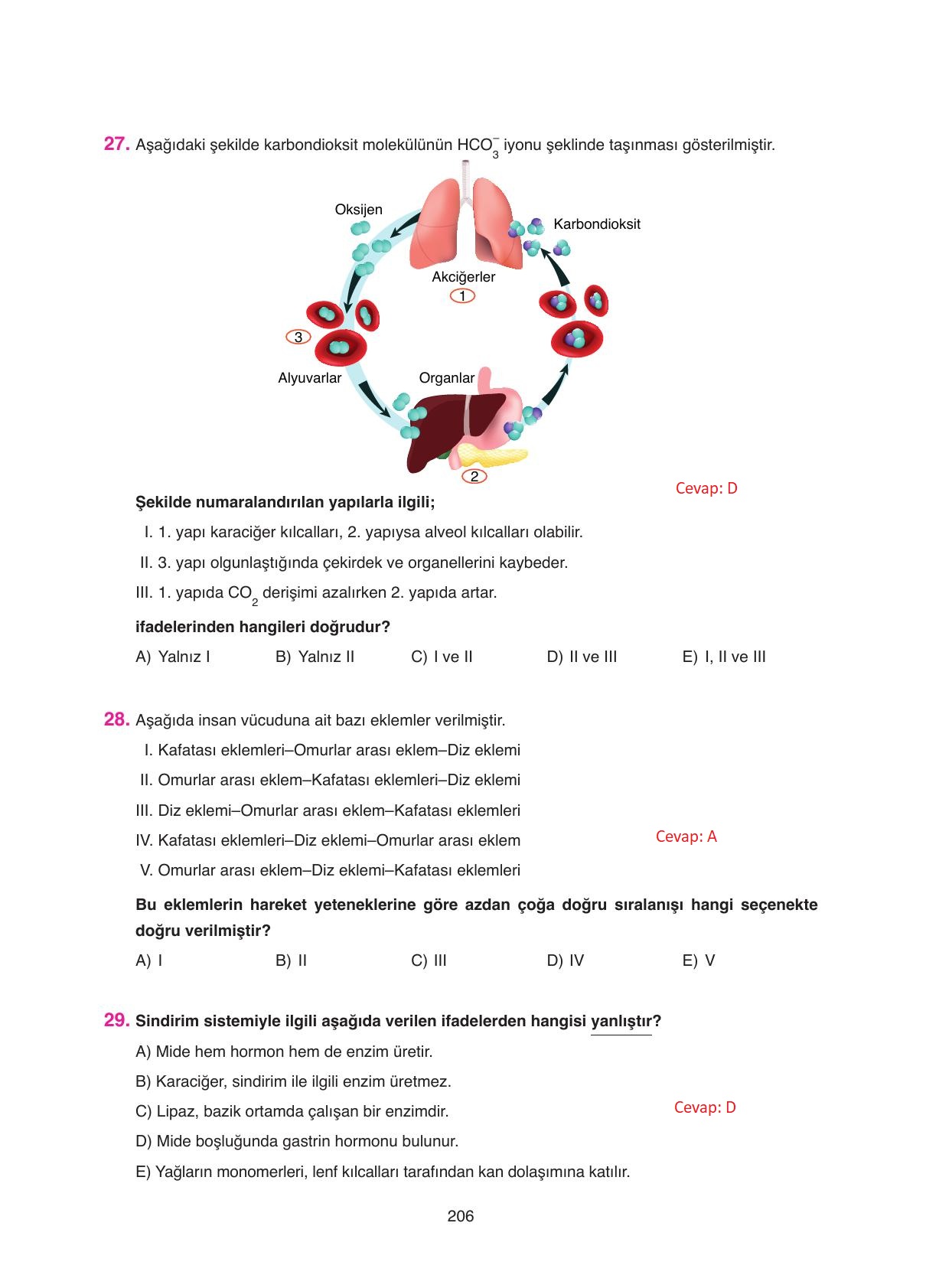 11. Sınıf Tutku Yayıncılık Biyoloji Ders Kitabı Sayfa 206 Cevapları