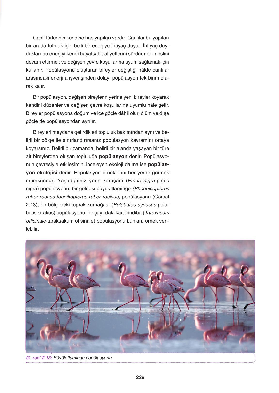 11. Sınıf Tutku Yayıncılık Biyoloji Ders Kitabı Sayfa 229 Cevapları 11. Sınıf Tutku Yayıncılık Biyoloji Ders Kitabı Sayfa 229 Cevapları
