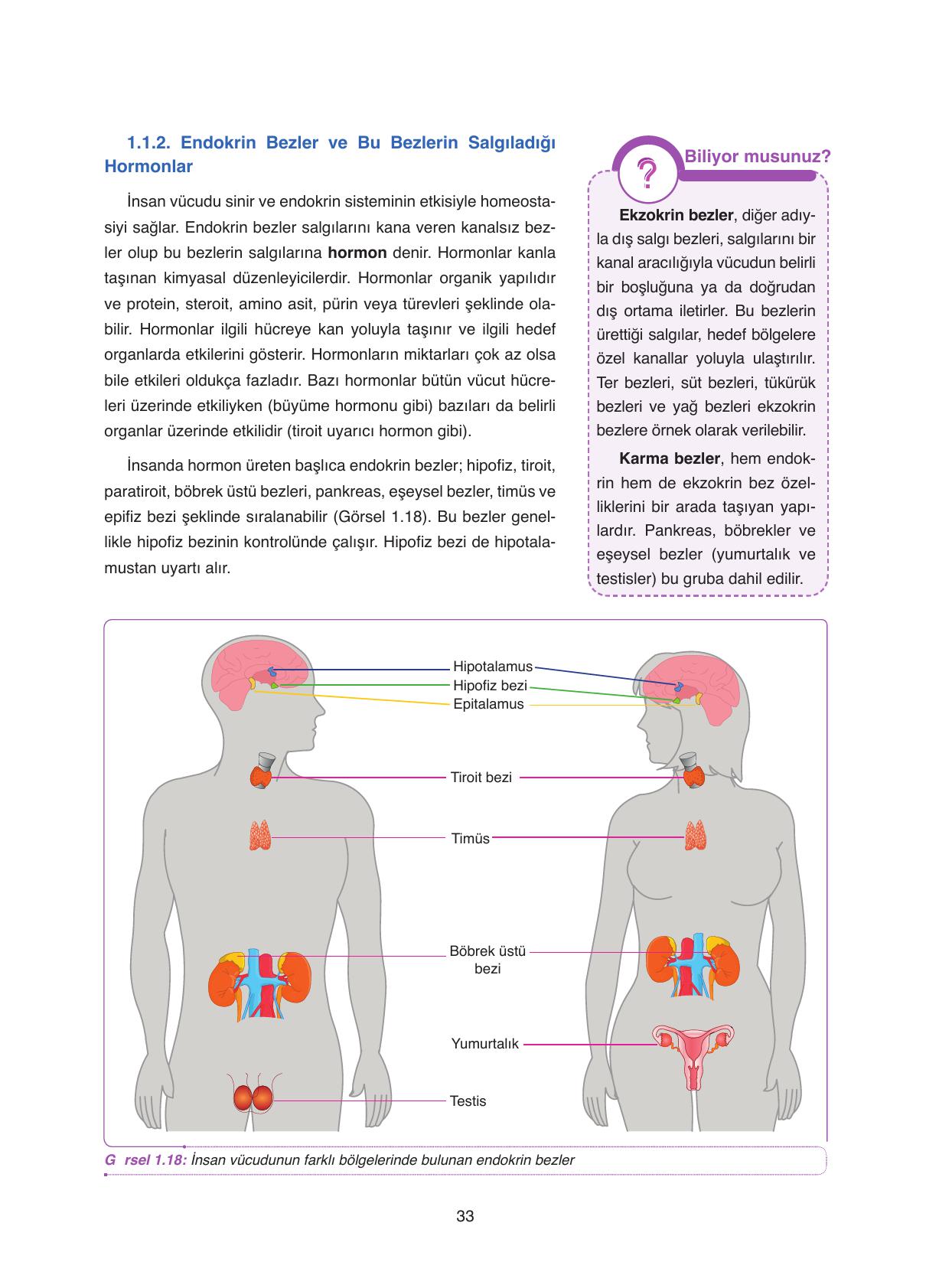 11. Sınıf Tutku Yayıncılık Biyoloji Ders Kitabı Sayfa 33 Cevapları