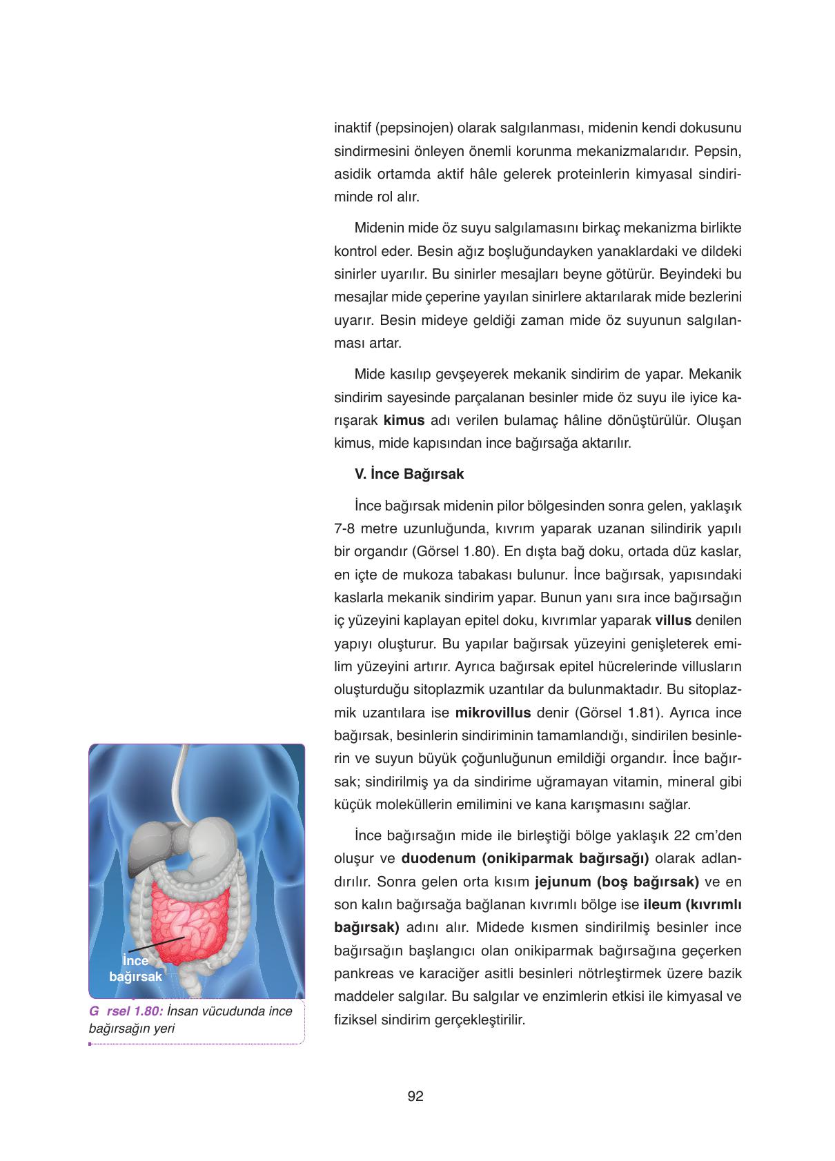 11. Sınıf Tutku Yayıncılık Biyoloji Ders Kitabı Sayfa 92 Cevapları