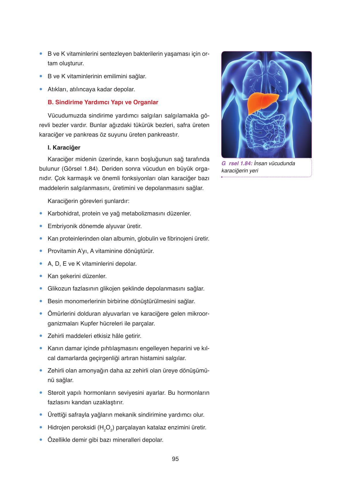 11. Sınıf Tutku Yayıncılık Biyoloji Ders Kitabı Sayfa 95 Cevapları