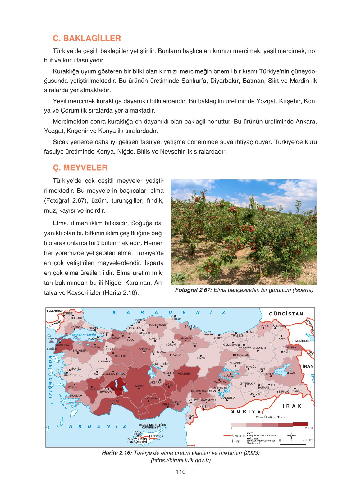 11. Sınıf Yıldırım Yayınları Coğrafya Ders Kitabı Sayfa 110 Cevapları
