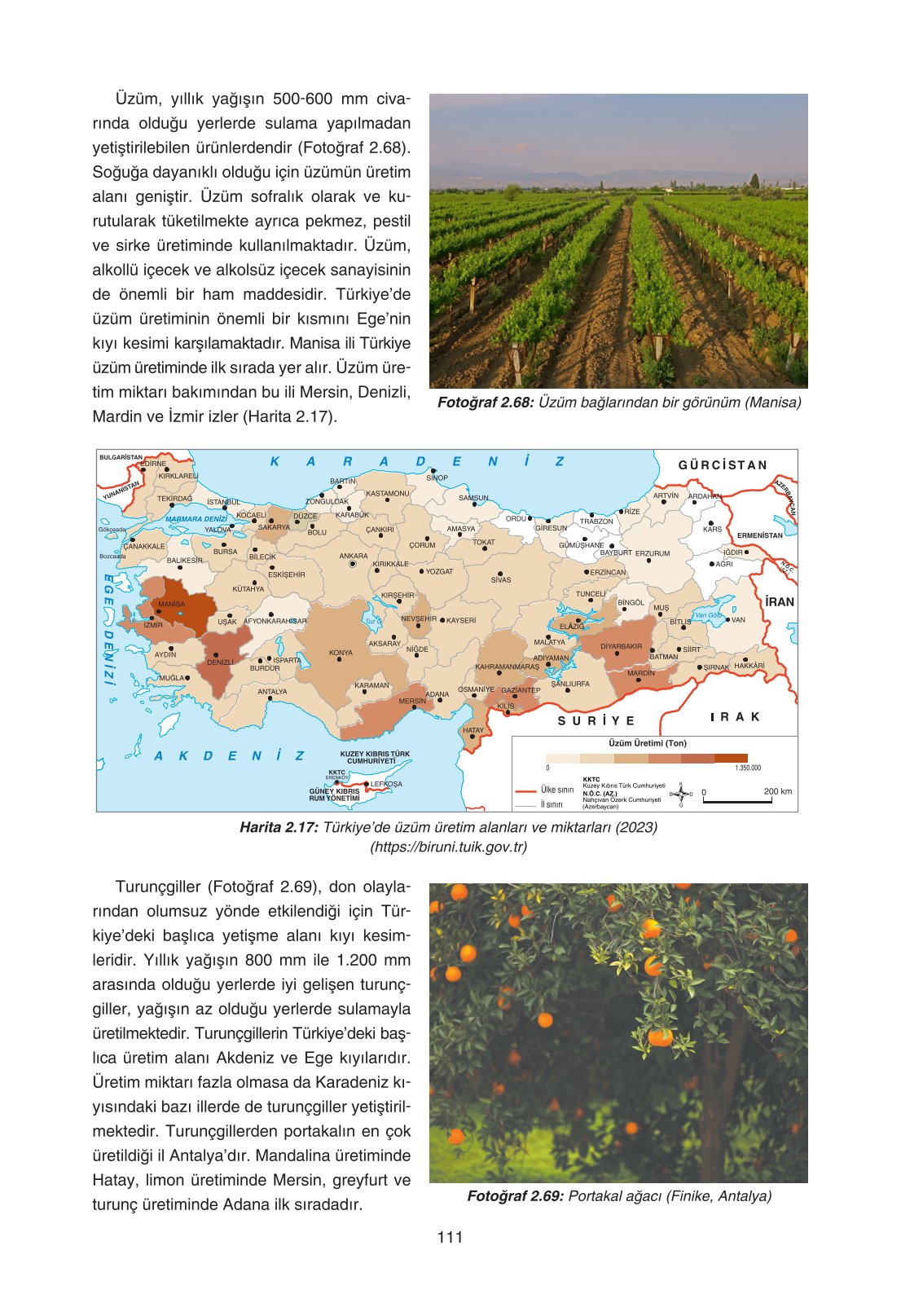 11. Sınıf Yıldırım Yayınları Coğrafya Ders Kitabı Sayfa 111 Cevapları