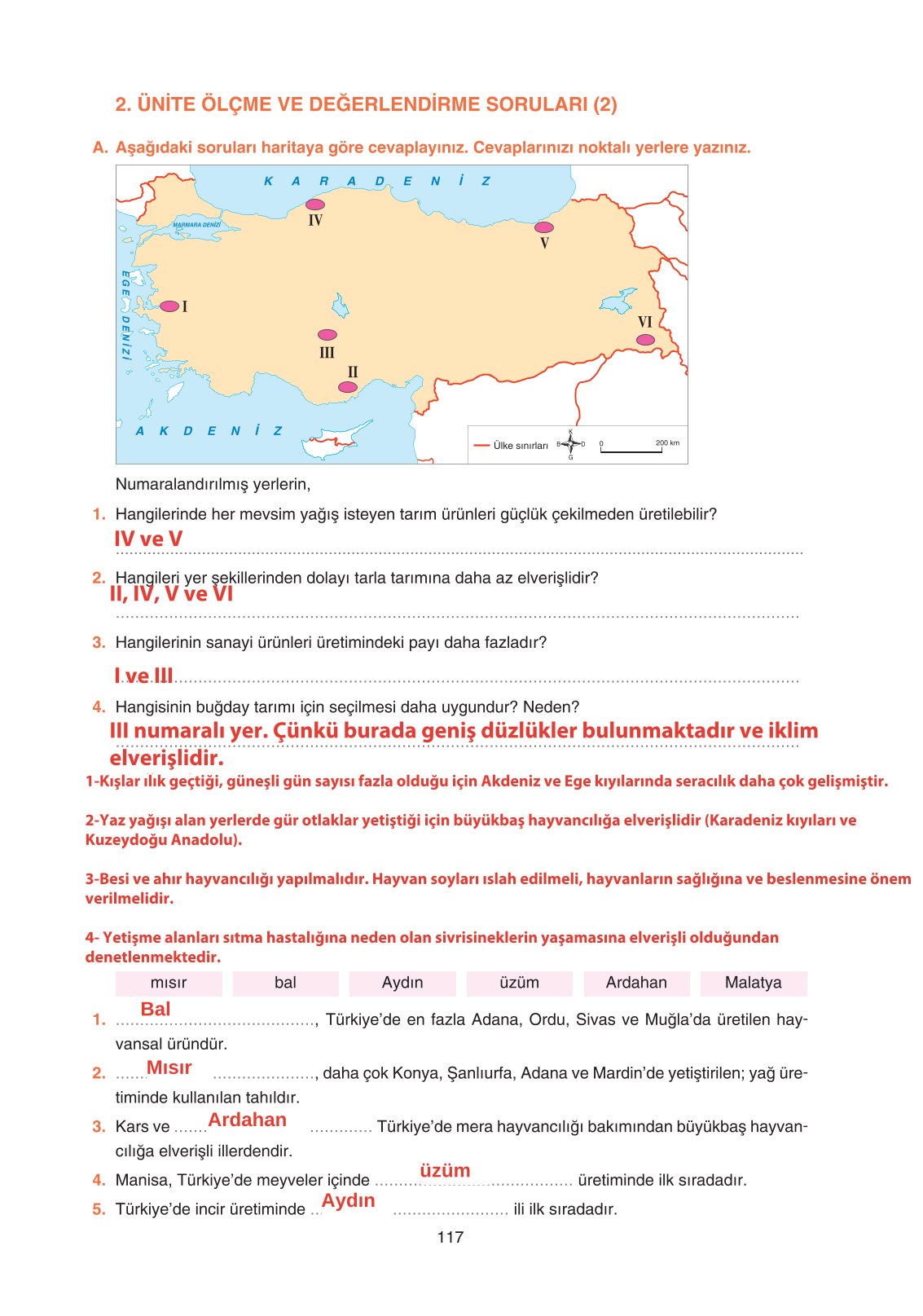 11. Sınıf Yıldırım Yayınları Coğrafya Ders Kitabı Sayfa 117 Cevapları