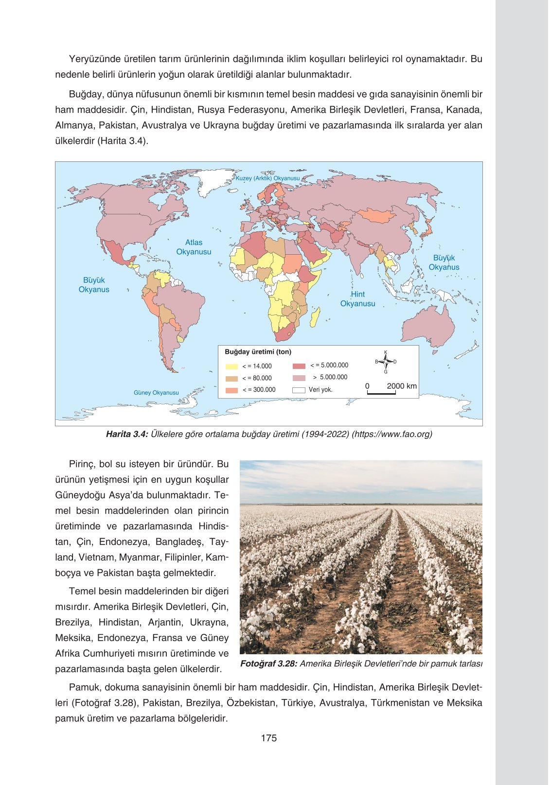 11. Sınıf Yıldırım Yayınları Coğrafya Ders Kitabı Sayfa 175 Cevapları