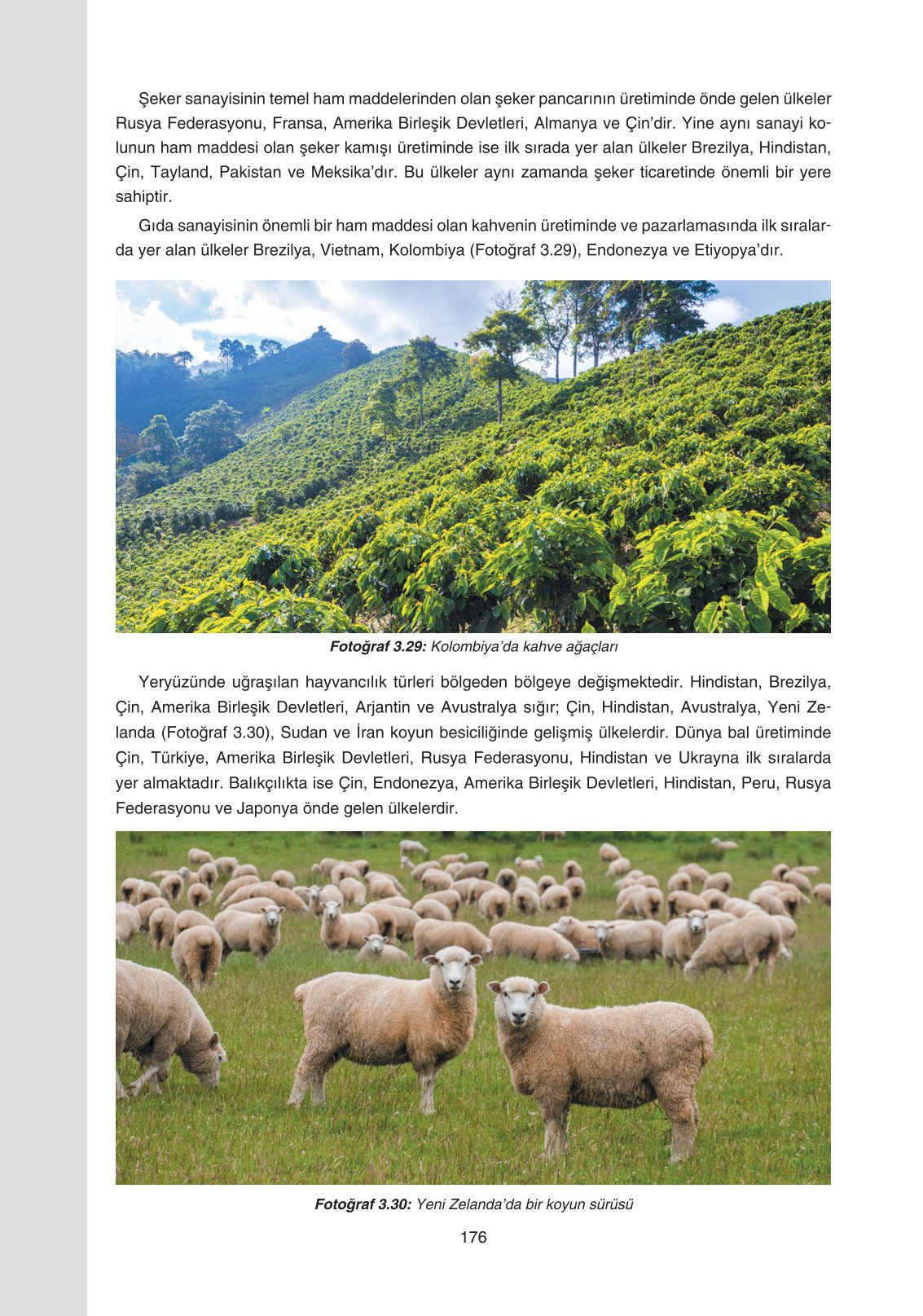 11. Sınıf Yıldırım Yayınları Coğrafya Ders Kitabı Sayfa 176 Cevapları