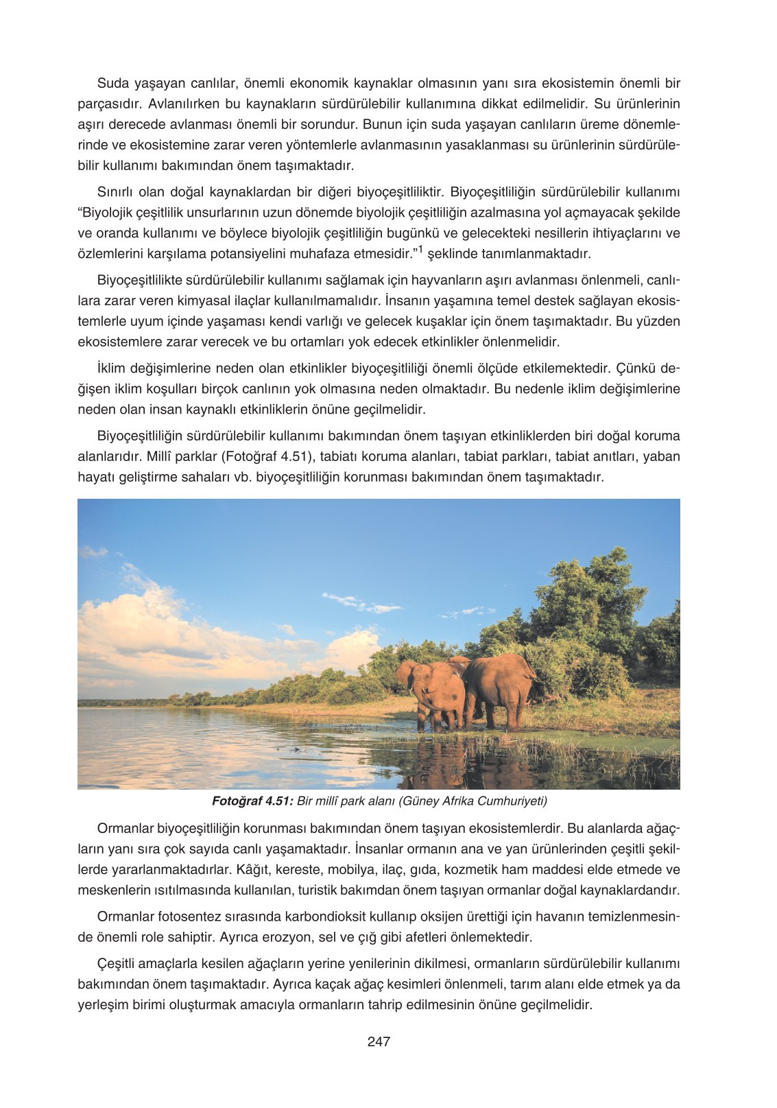 11. Sınıf Yıldırım Yayınları Coğrafya Ders Kitabı Sayfa 247 Cevapları