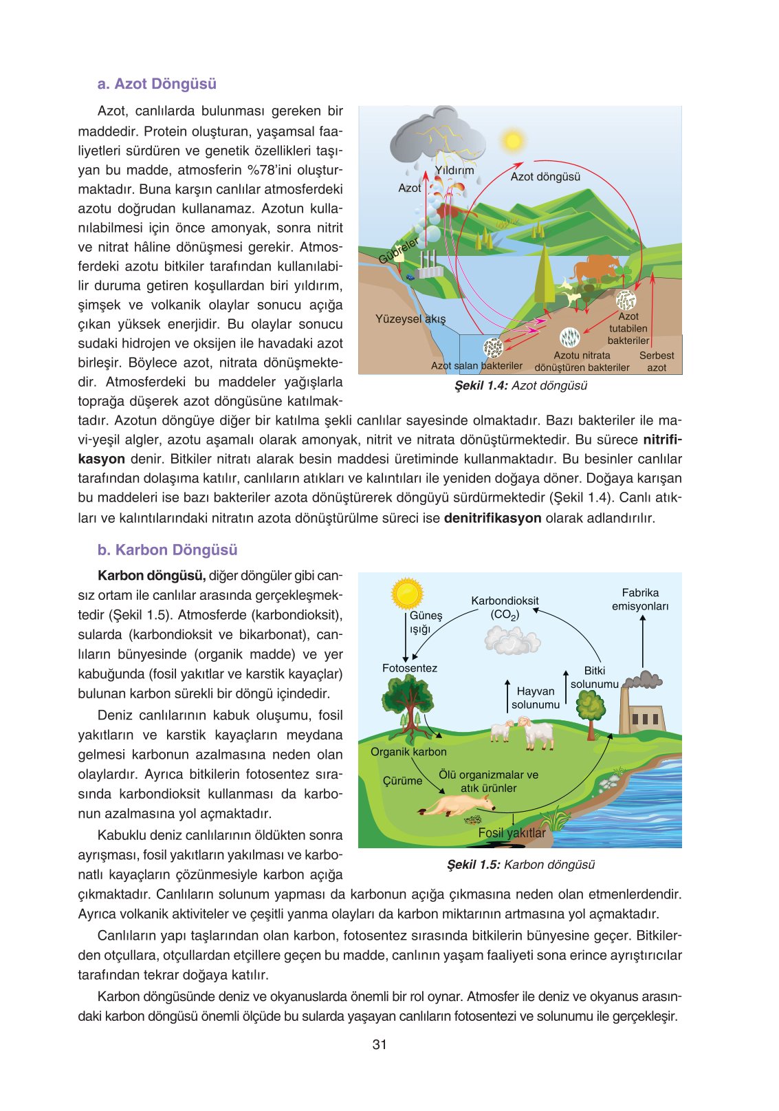 11. Sınıf Yıldırım Yayınları Coğrafya Ders Kitabı Sayfa 31 Cevapları 11. Sınıf Yıldırım Yayınları Coğrafya Ders Kitabı Sayfa 31 Cevapları